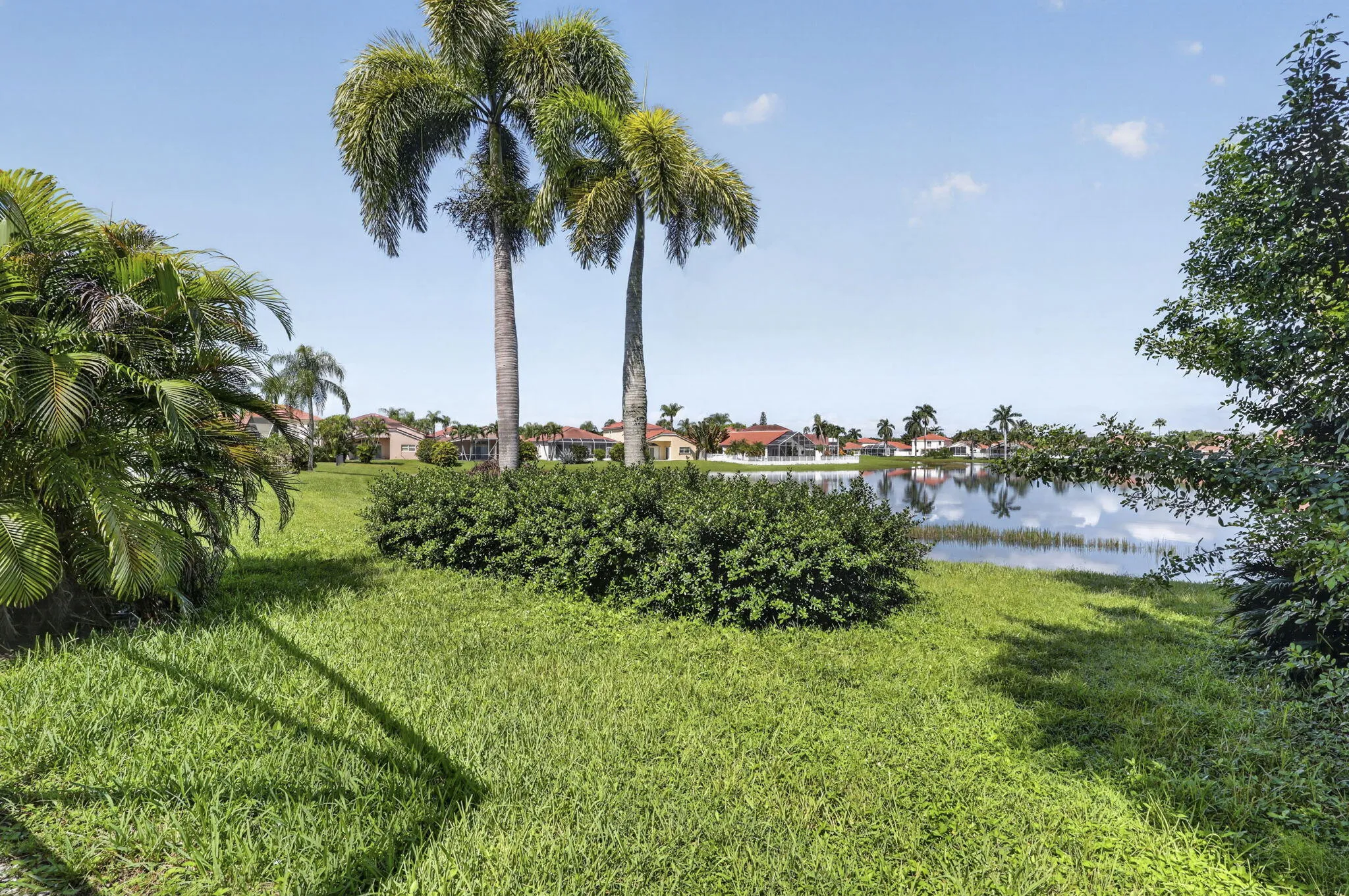 5-web-or-mls-BS1A7085