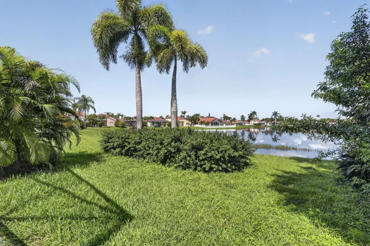 5-web-or-mls-BS1A7085