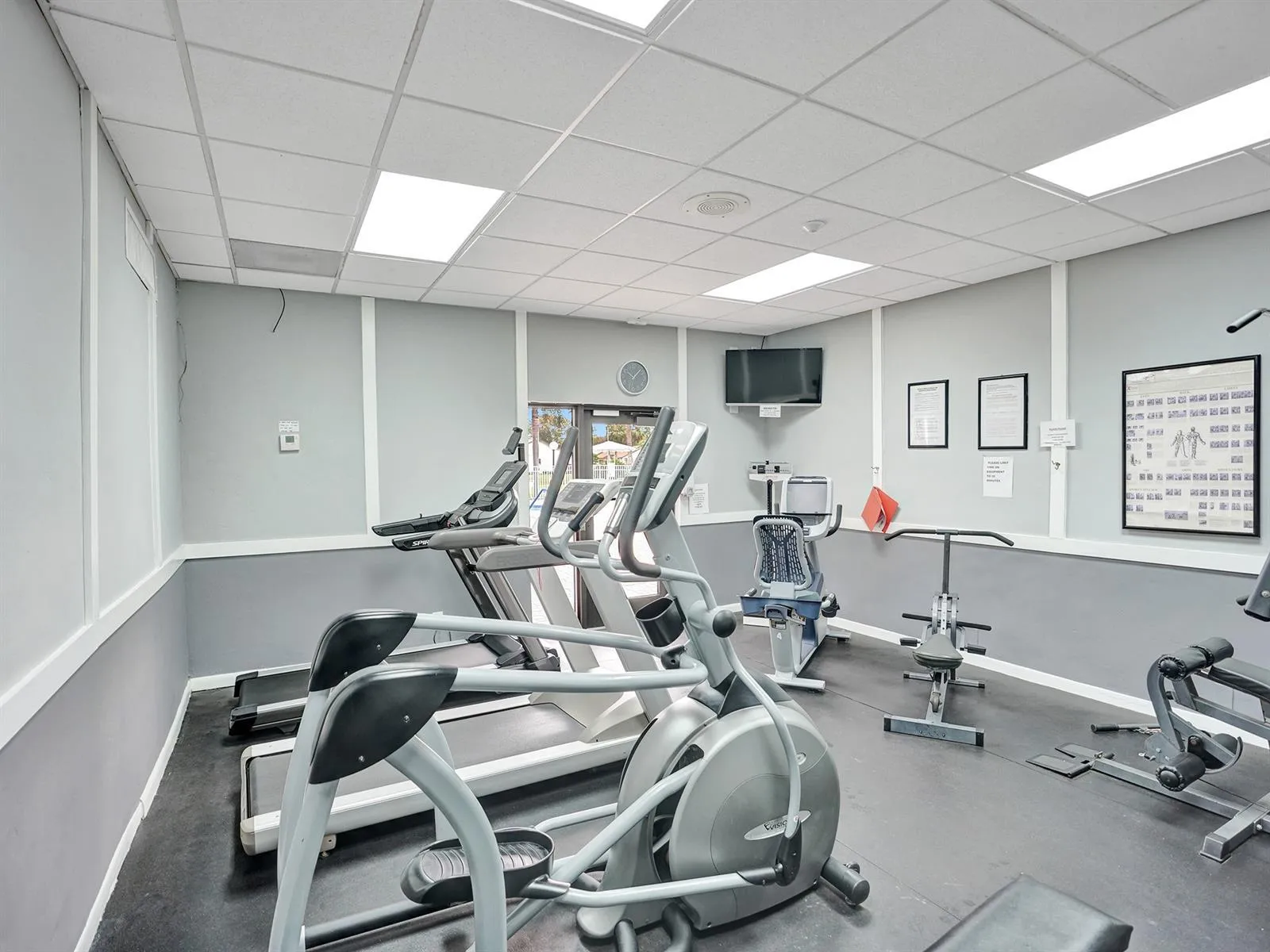 Gym