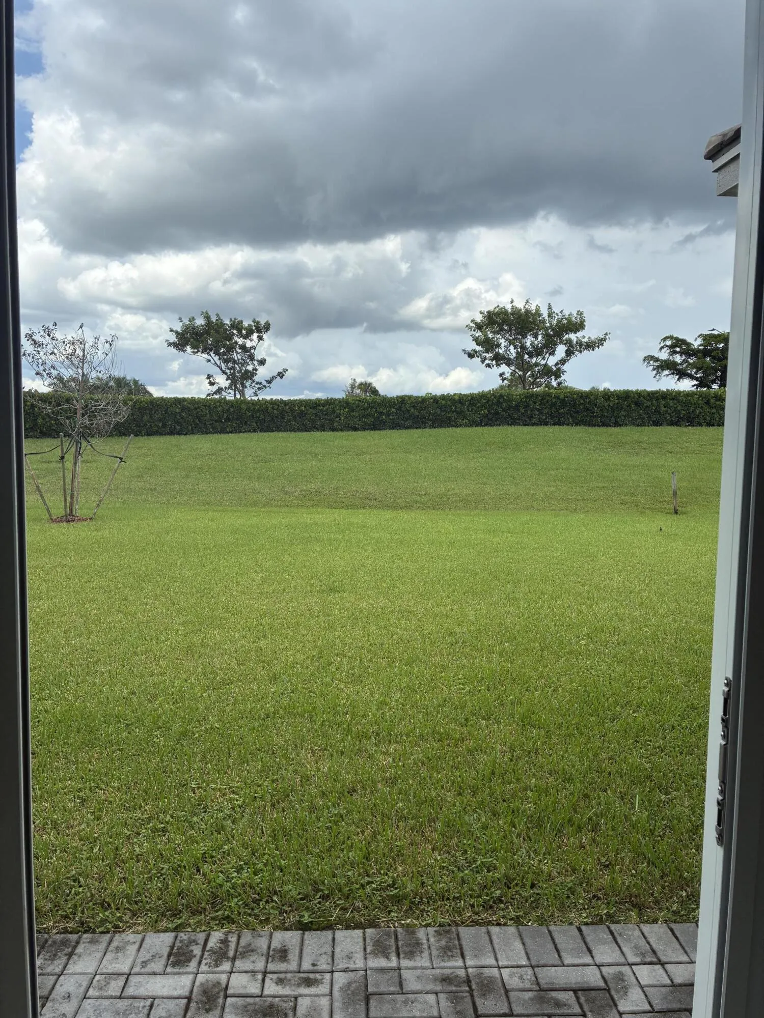 Backyard view from living room sliders