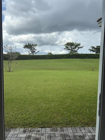 Backyard view from living room sliders