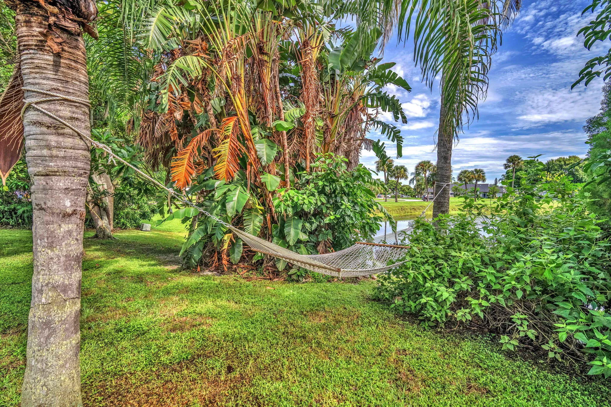 35-web-or-mls-DSC07133