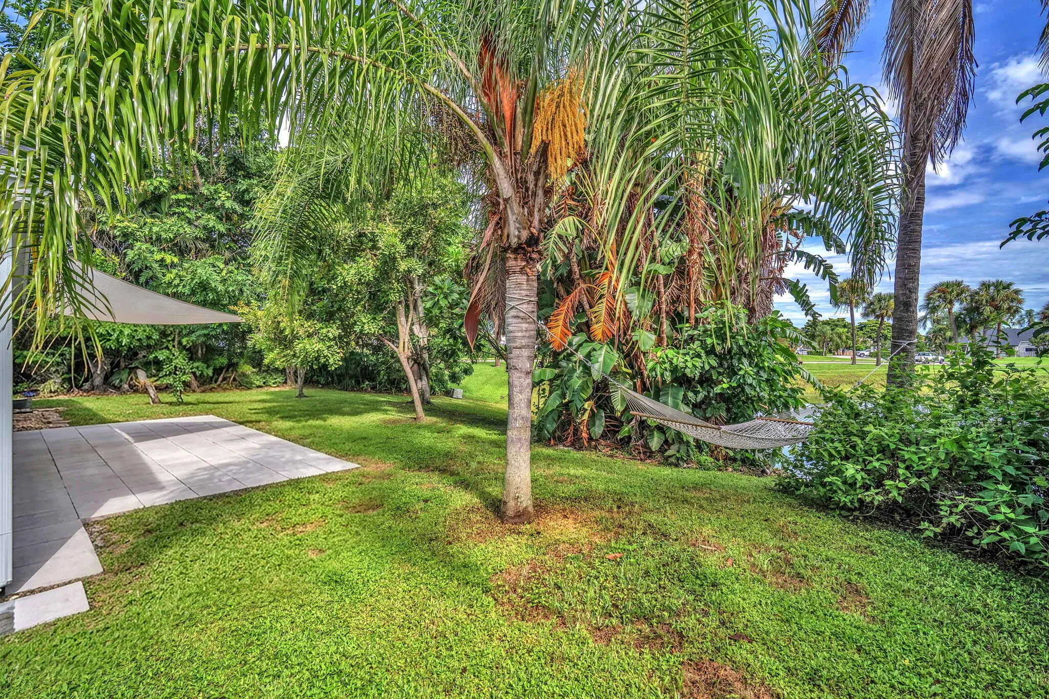 34-web-or-mls-DSC07131