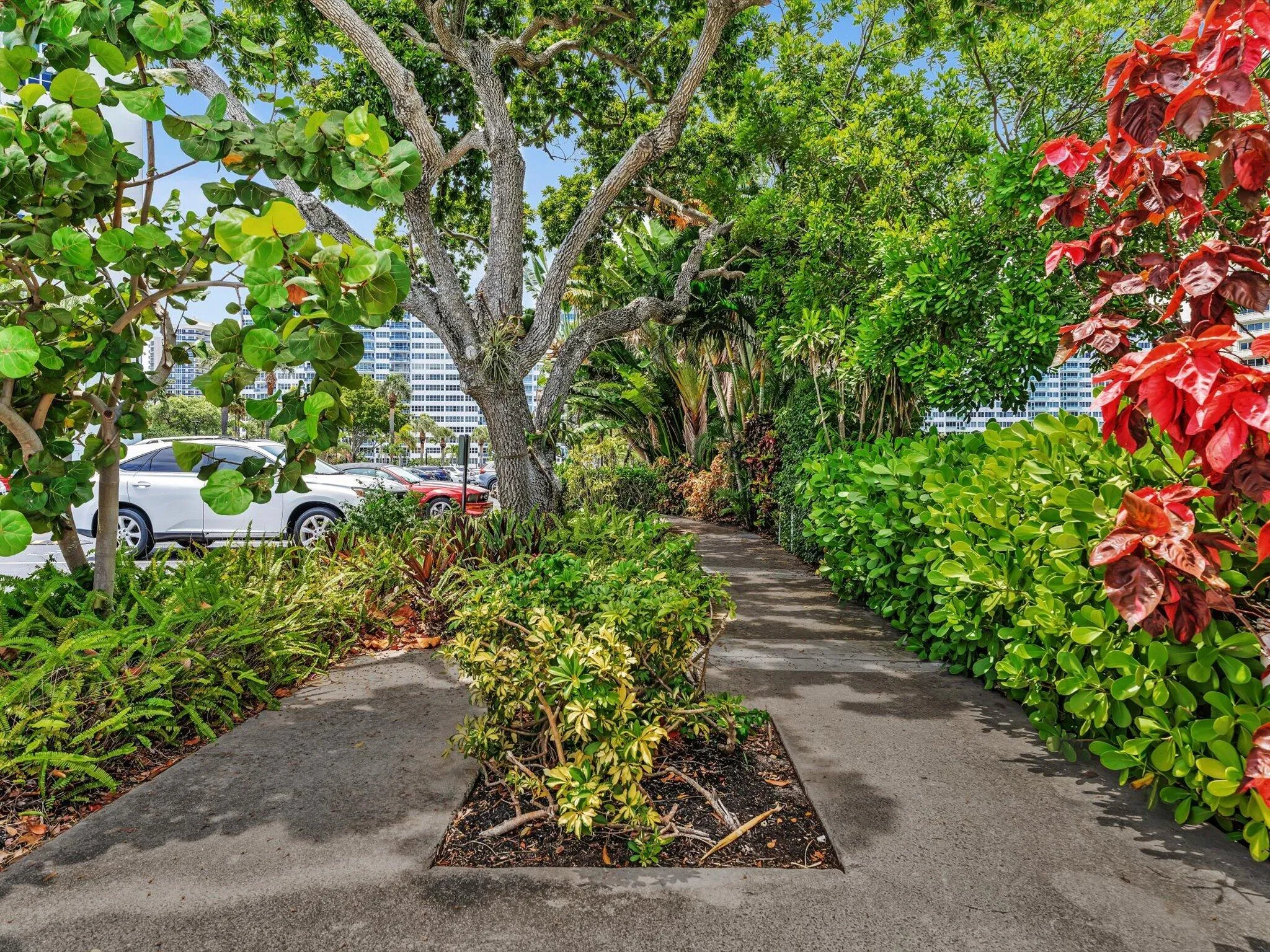 Orchid lined paths