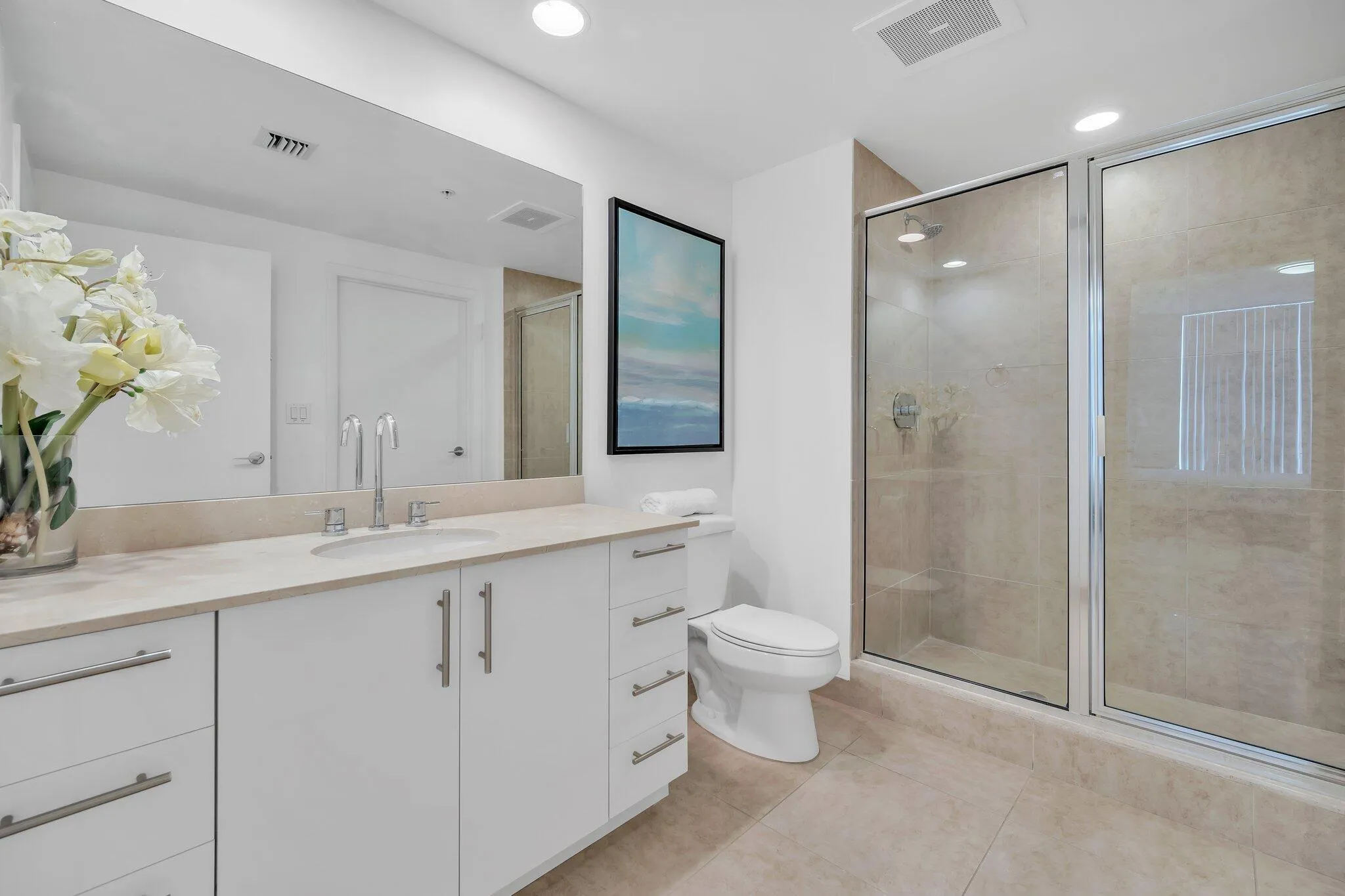 Guest Bath, Walk-in Shower (2 of 2)
