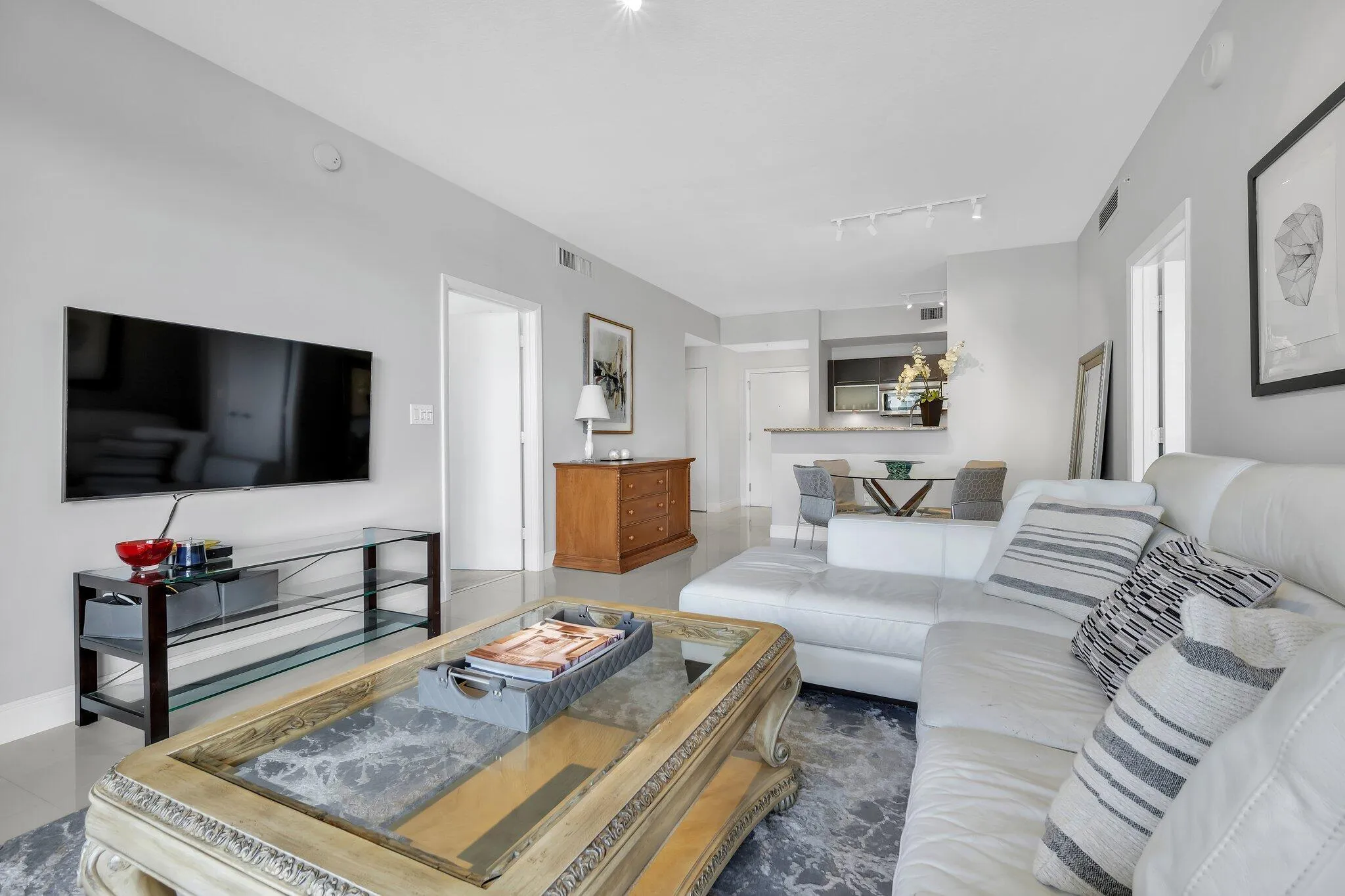 Fully Furnished Living Room