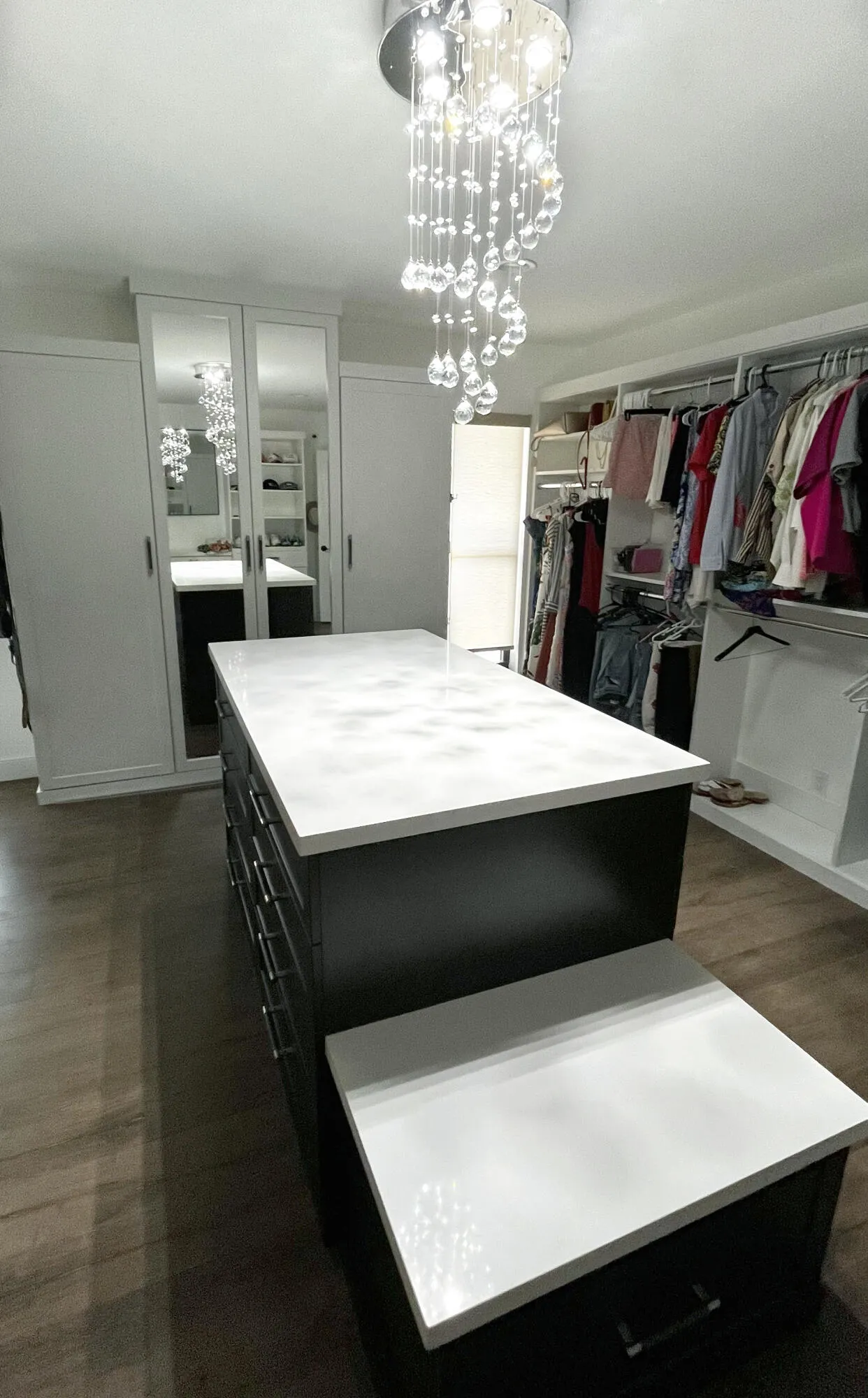 Primary Closet 2