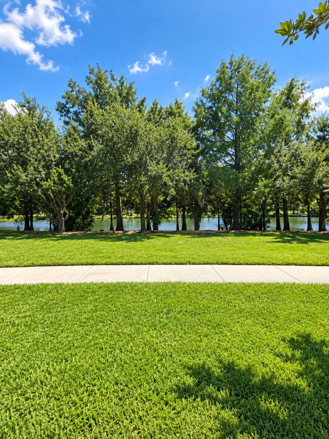 Property photo 20