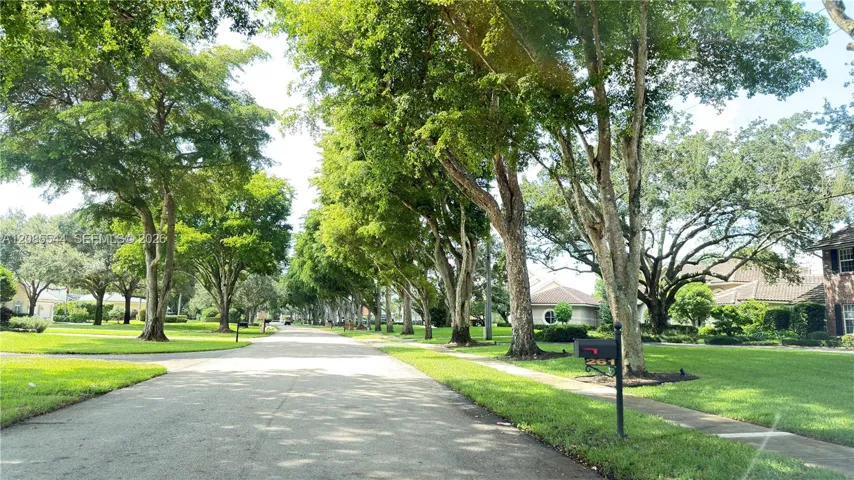 Beautiful Manicured Neighborhood