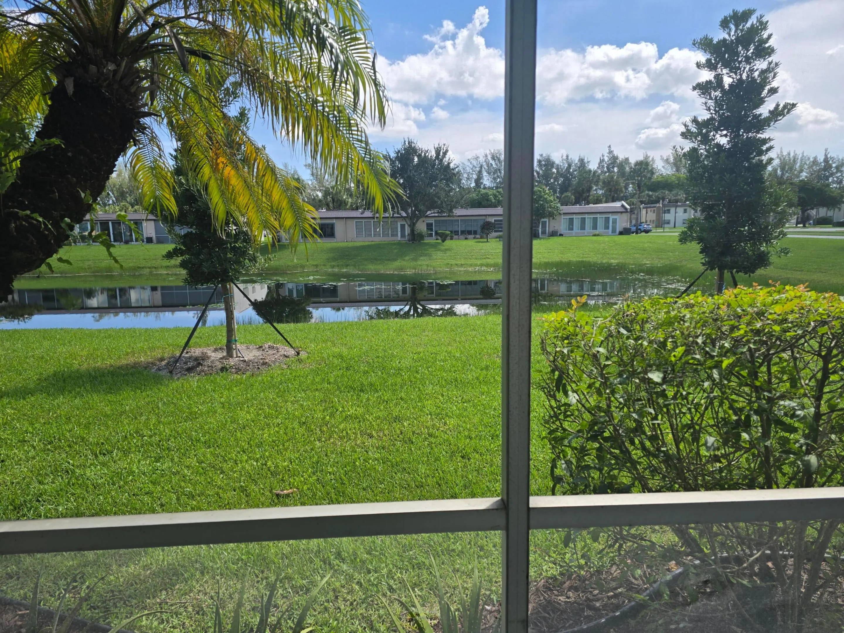 VIEW FROM PATIO