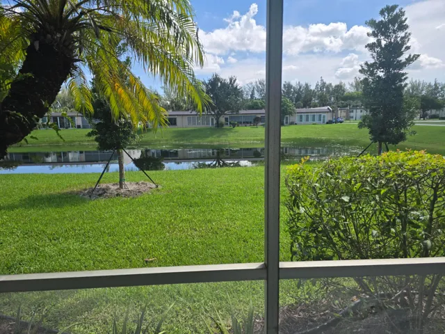 VIEW FROM PATIO