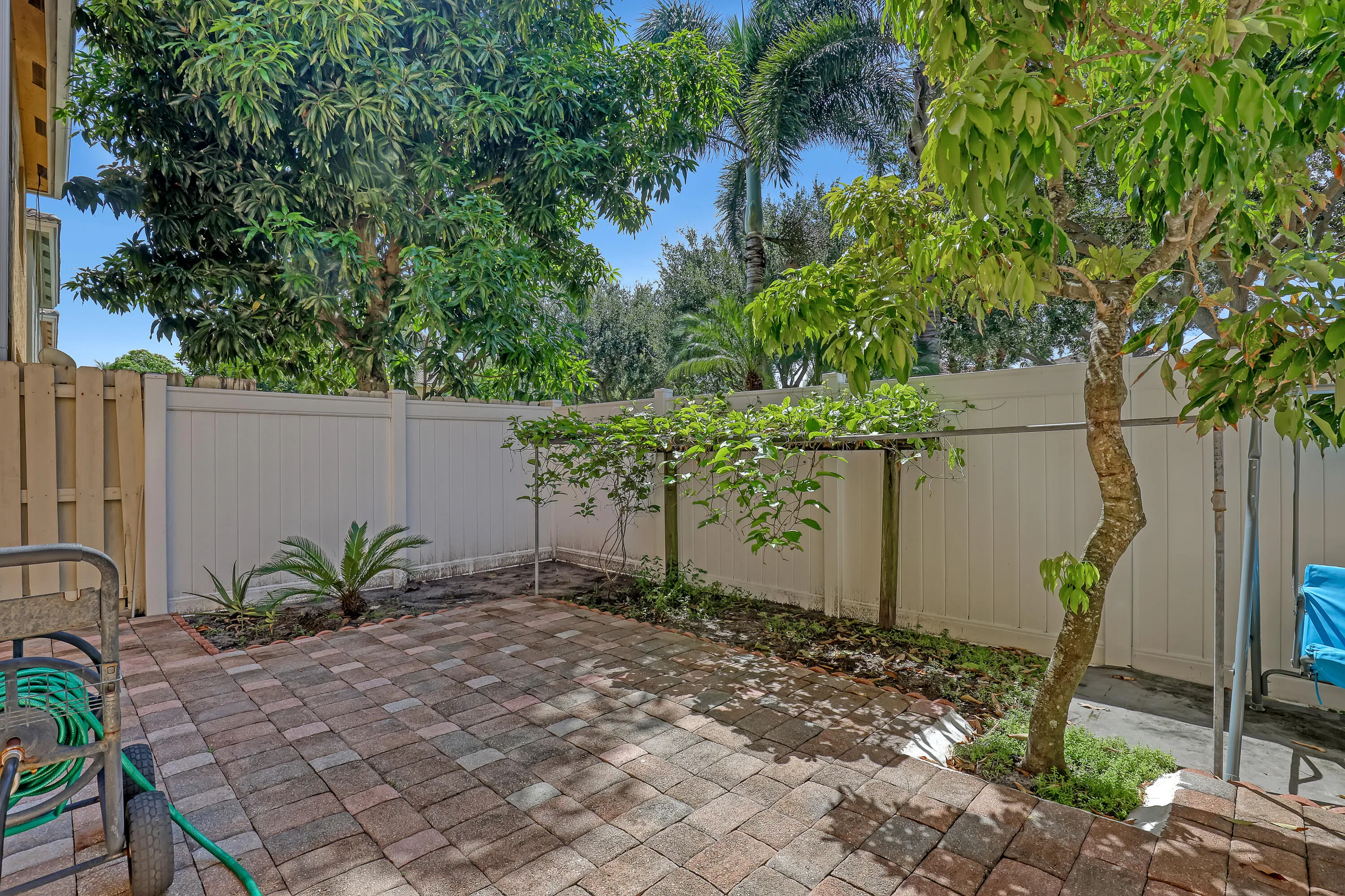 fenced backyard view 2