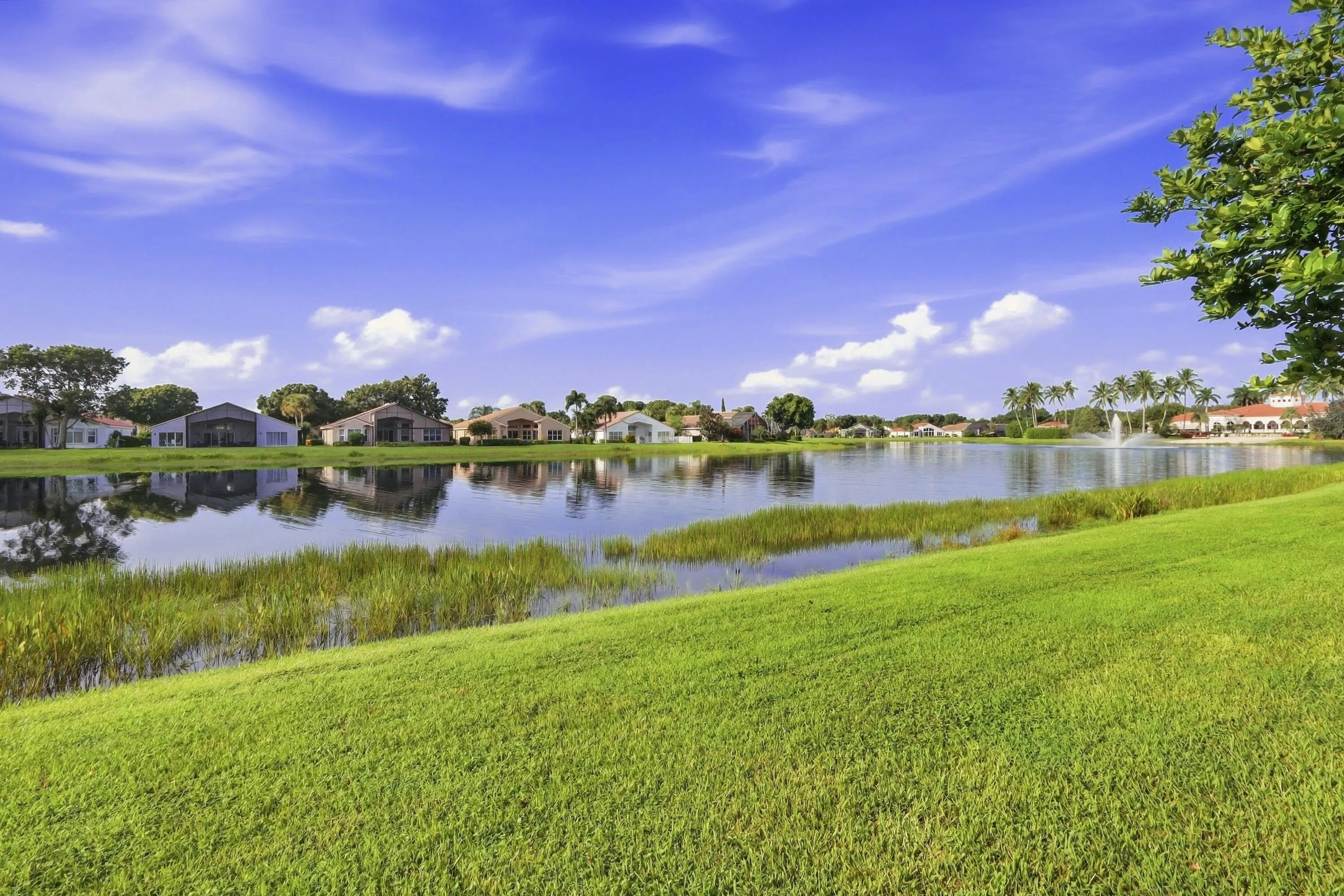 55_54. lake view