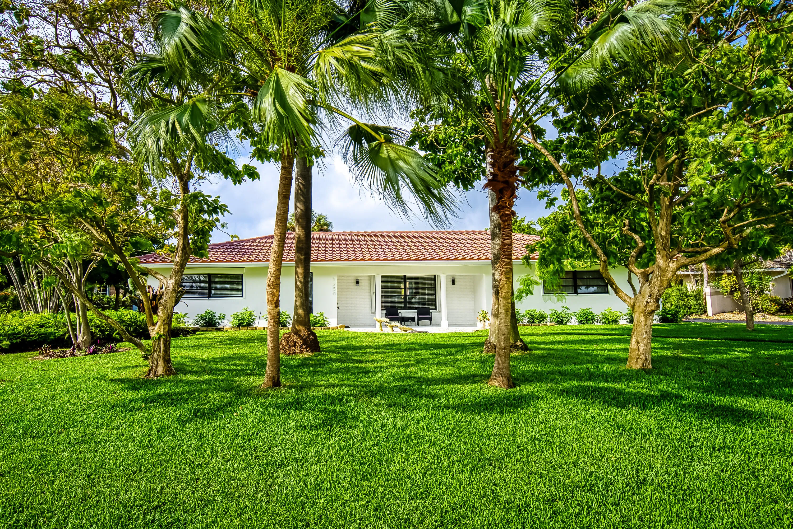 Expansive front lawn with mature palm trees and lush greenery