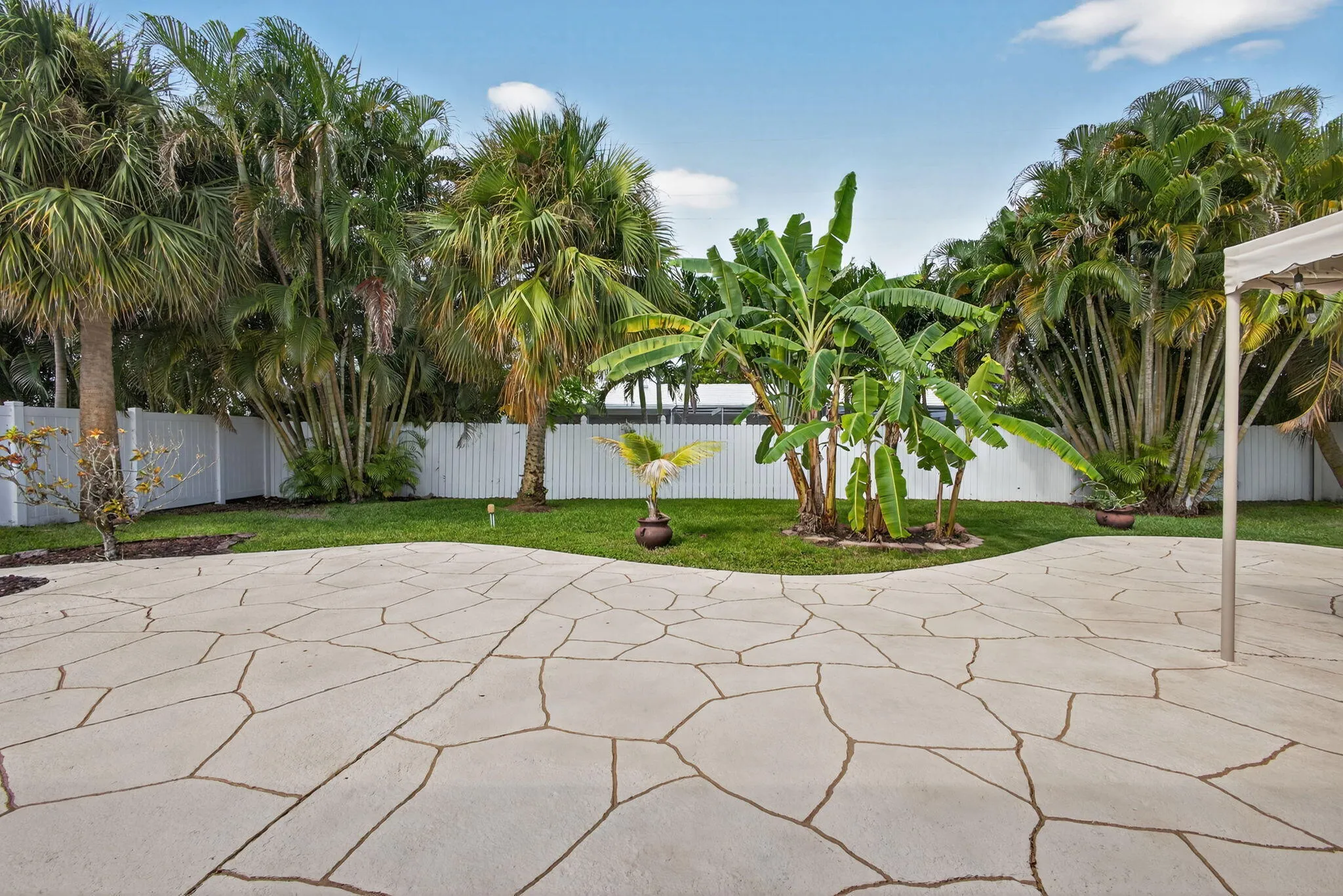 Back Patio
