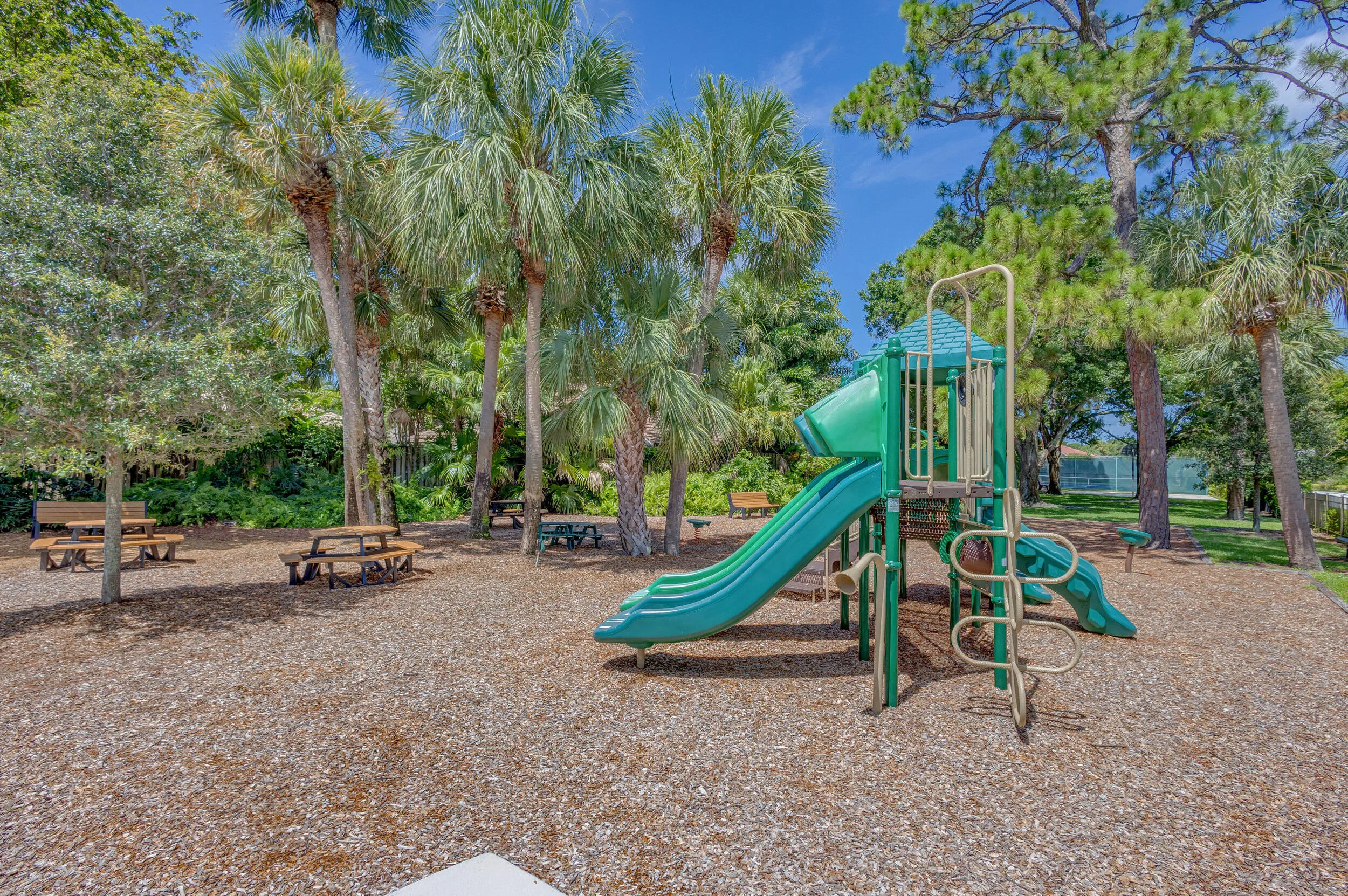 Recreational playground with a green slide and climbing features, surrounded by mature palm trees and natural woodchip ground cover