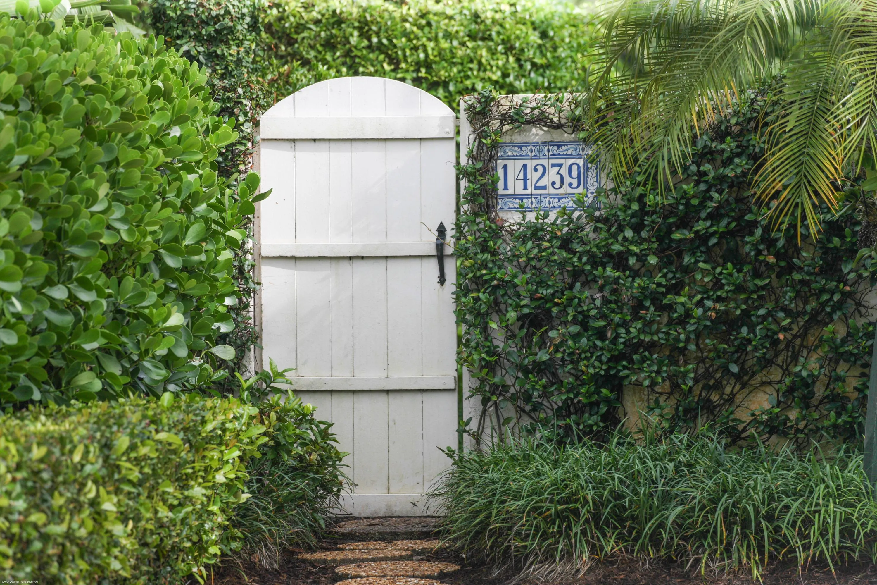 14239 Calypso Ln 038a