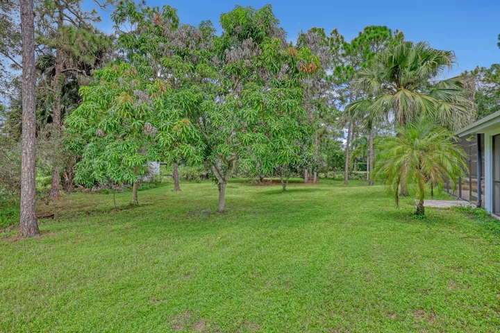 Expansive lawn bordered by mature trees and palm trees, featuring a screened enclosure