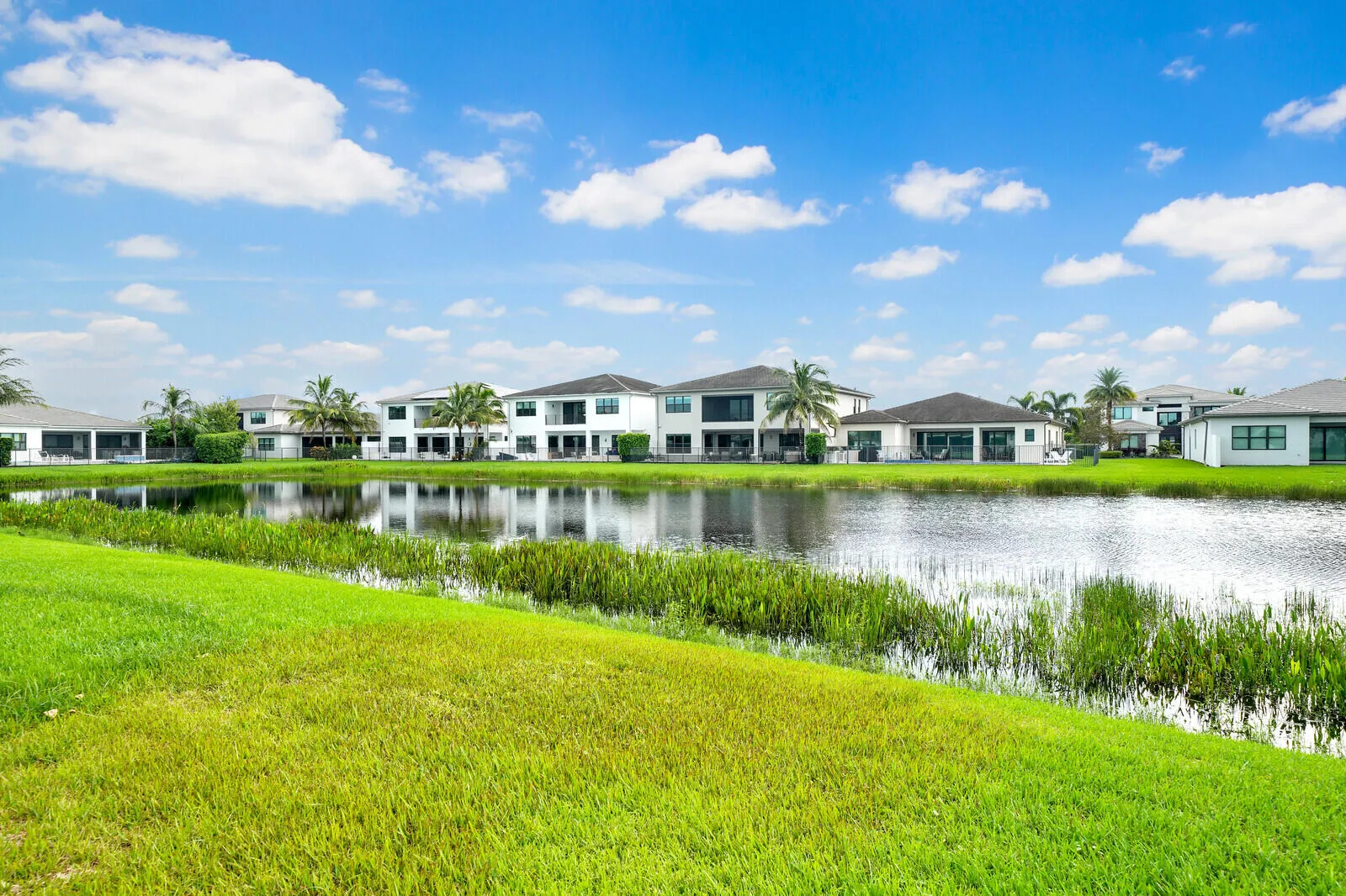 LAKE VIEW