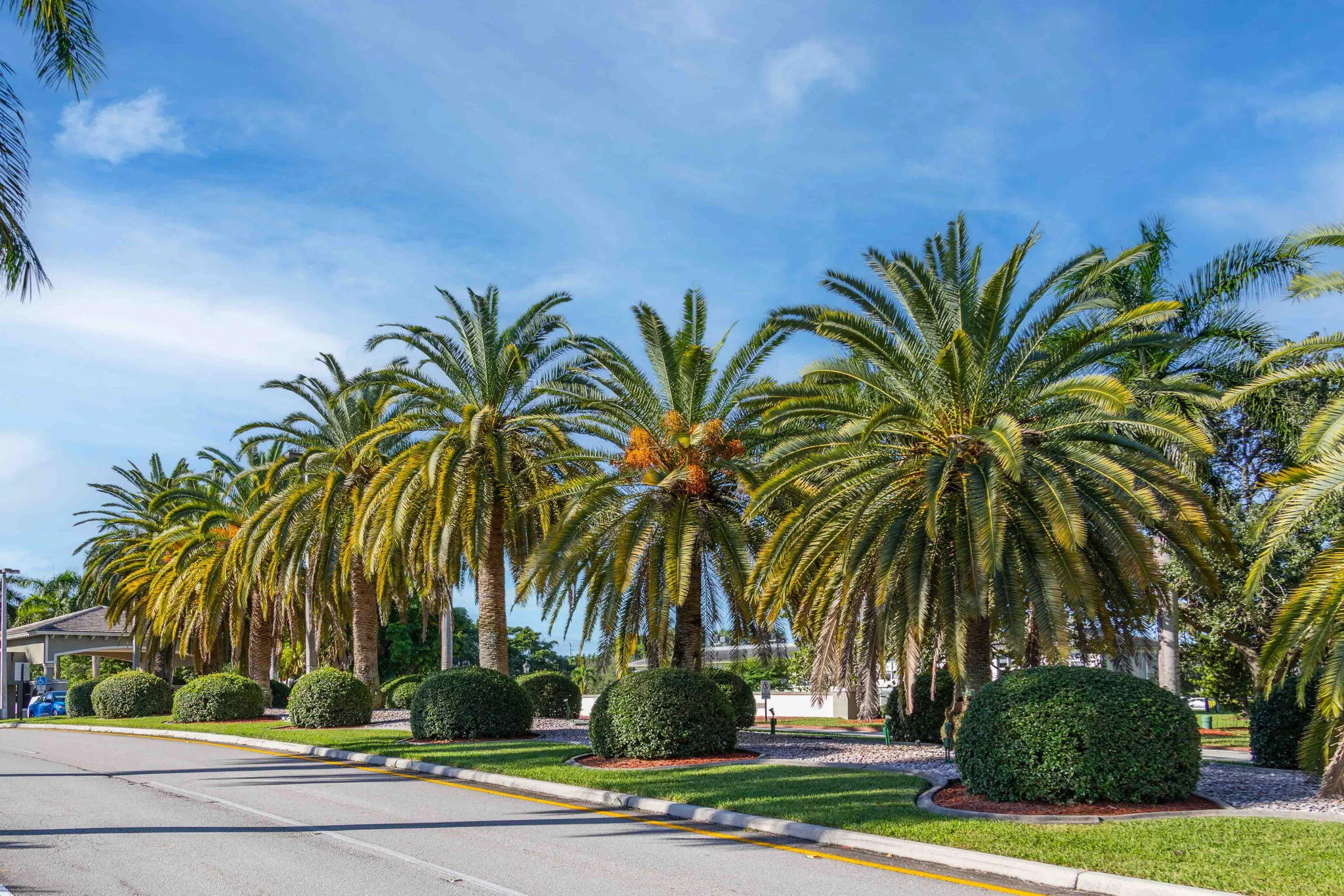45-web-or-mls-Wynmoor 10-23-22-1-4