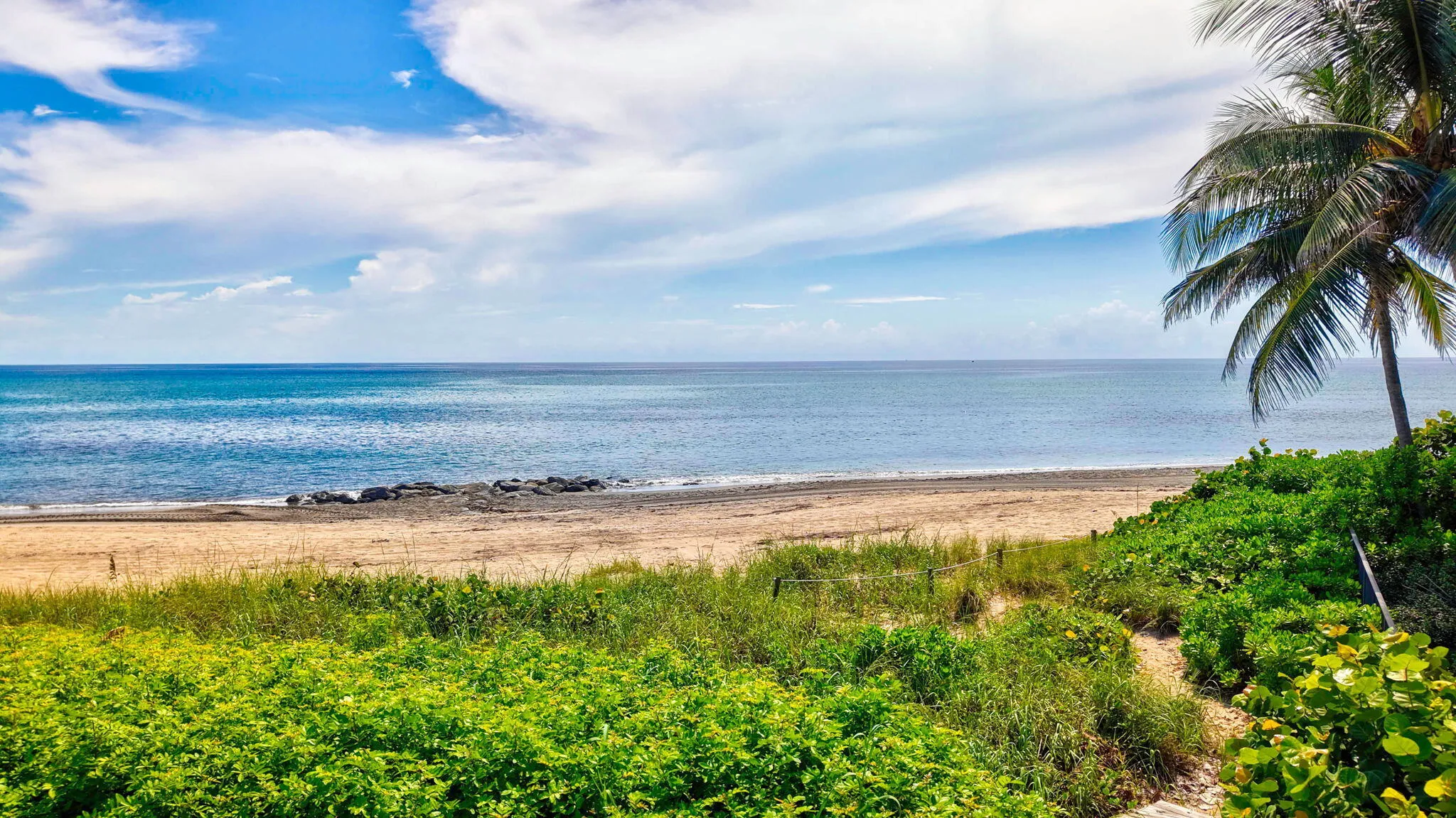 Ocean View