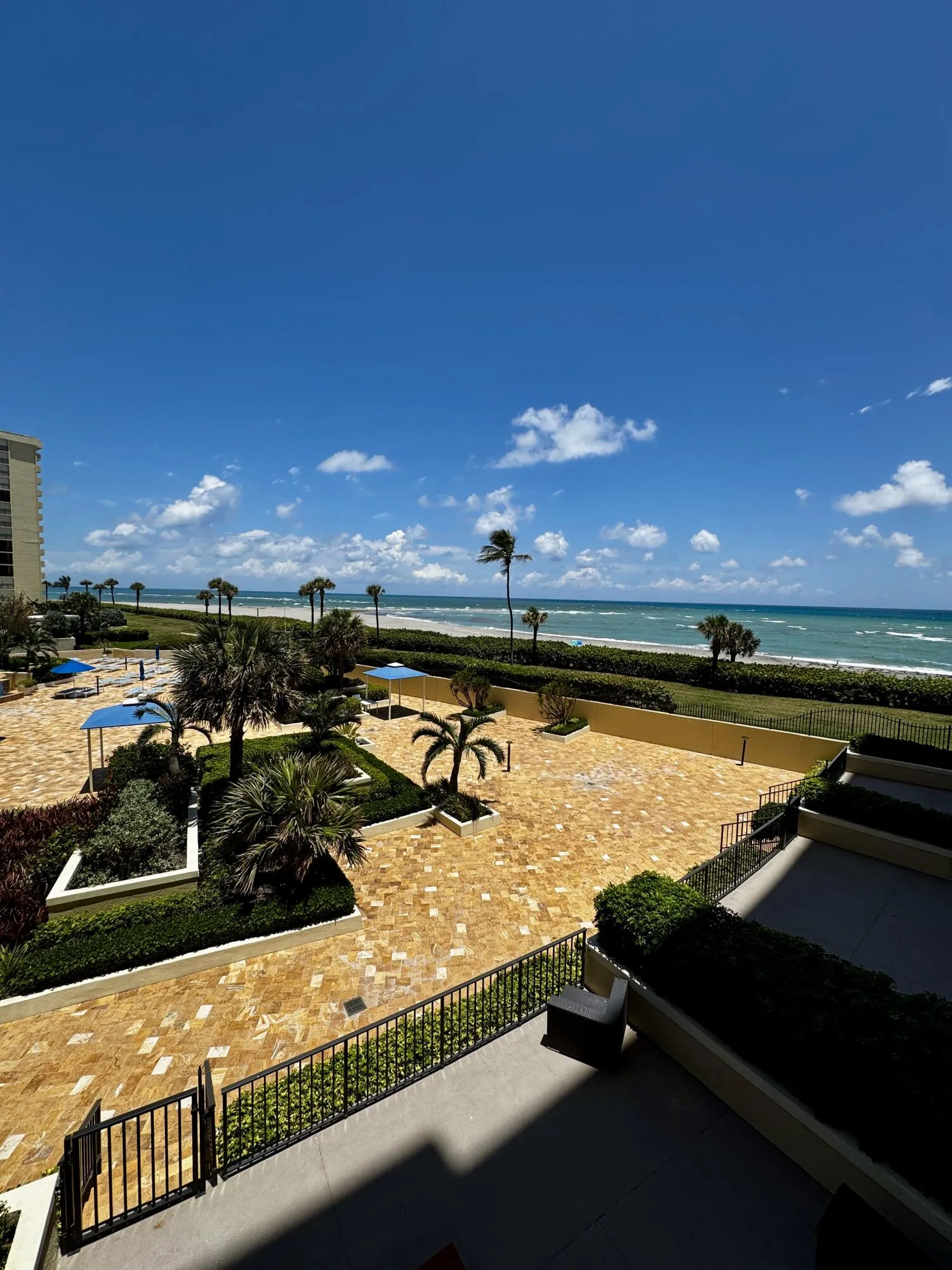 IMG_8137