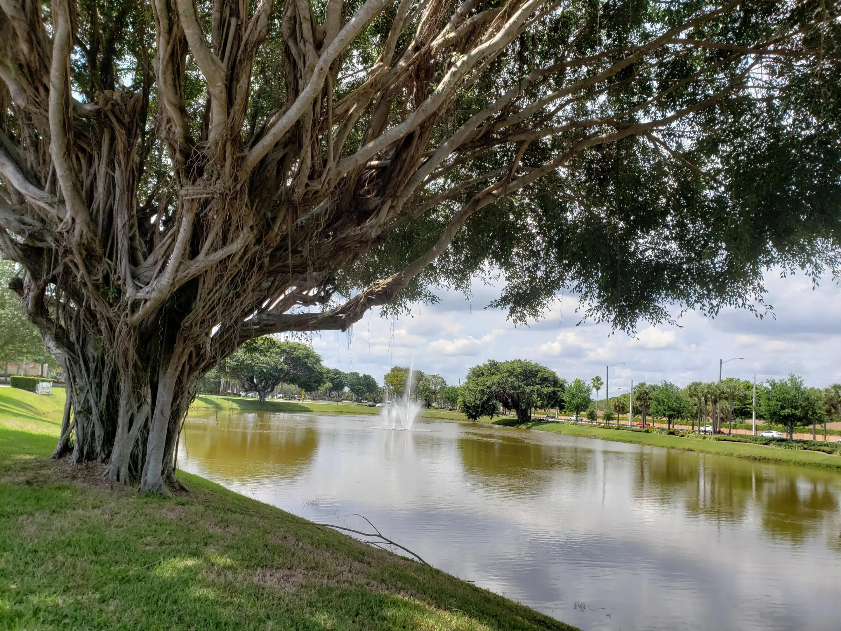 Main Lake