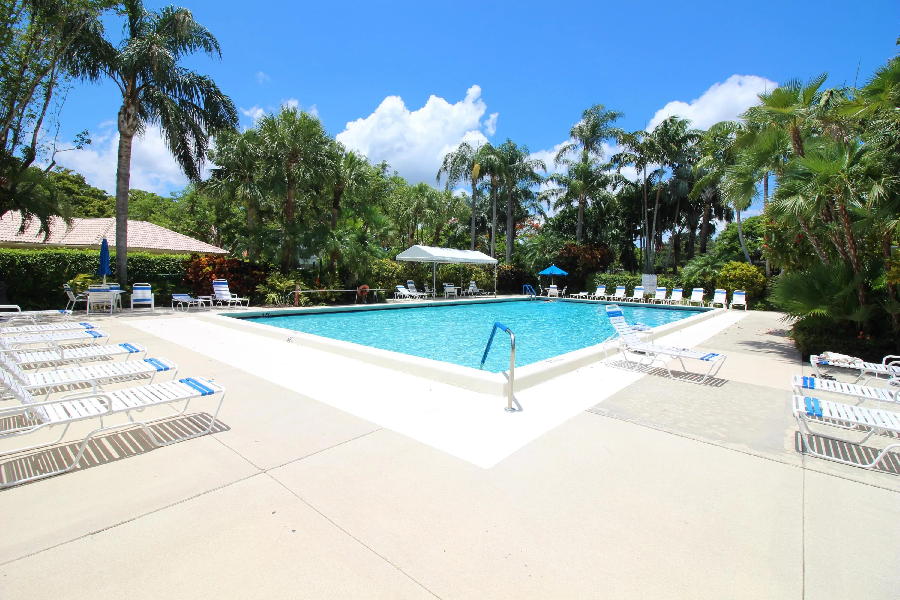 cypress grove pool3