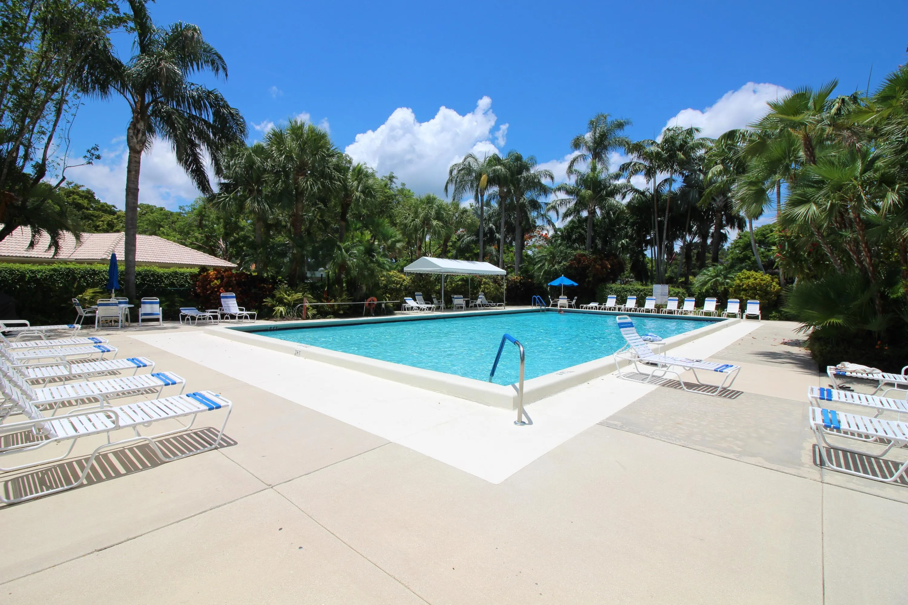 cypress grove pool4