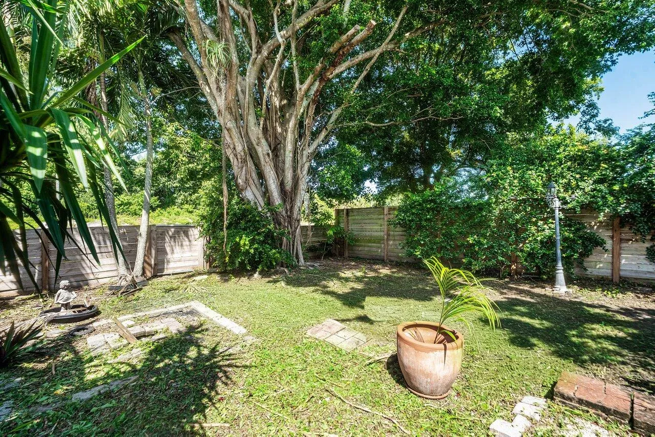 Yard view 2