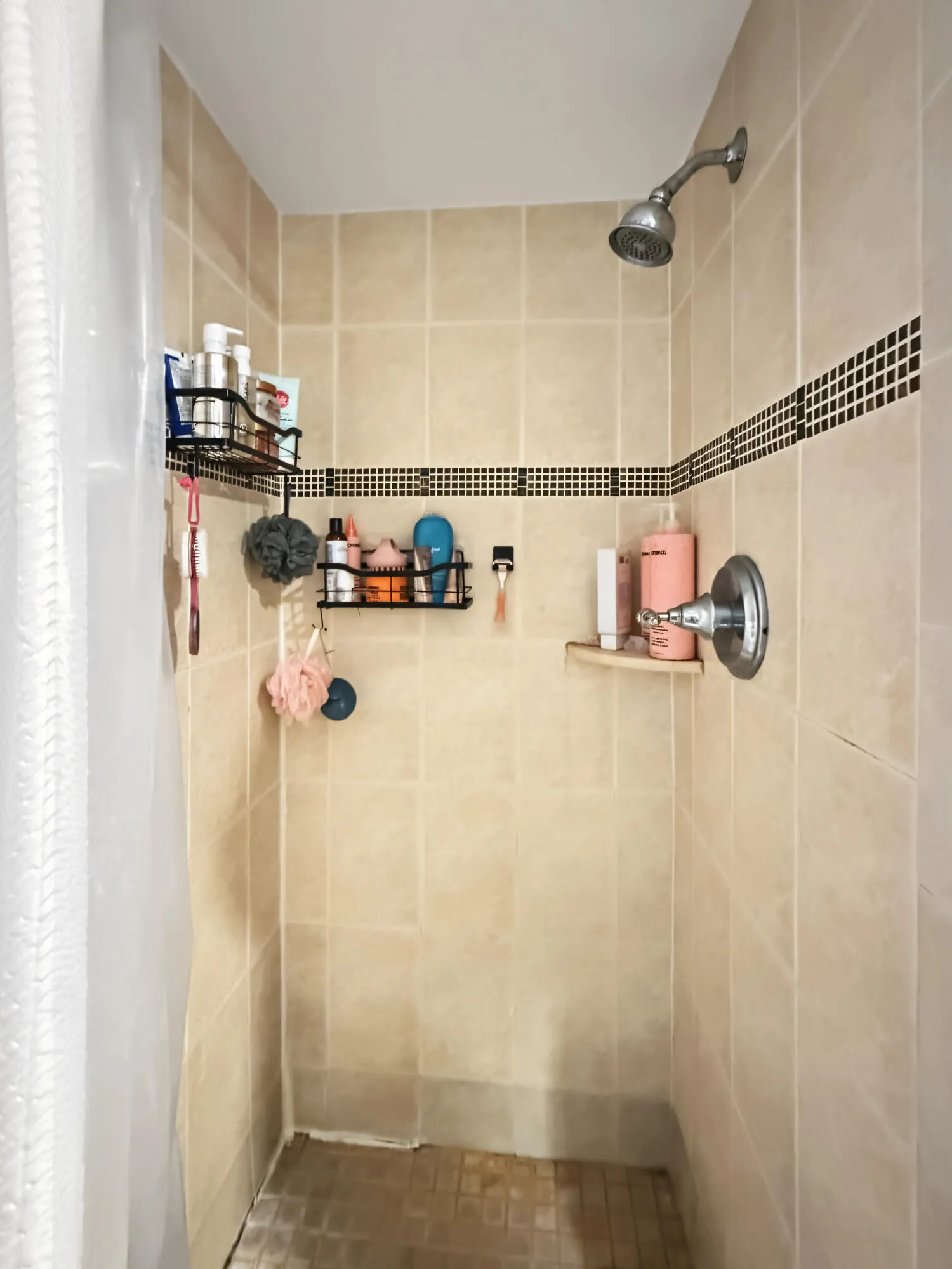 Guest Shower