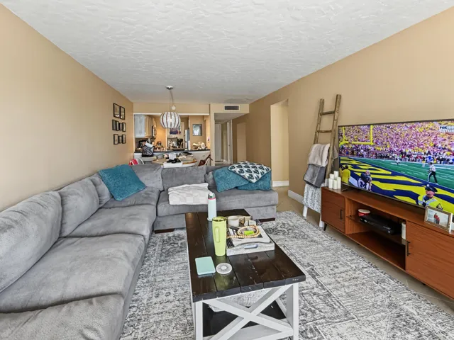 Large Living room