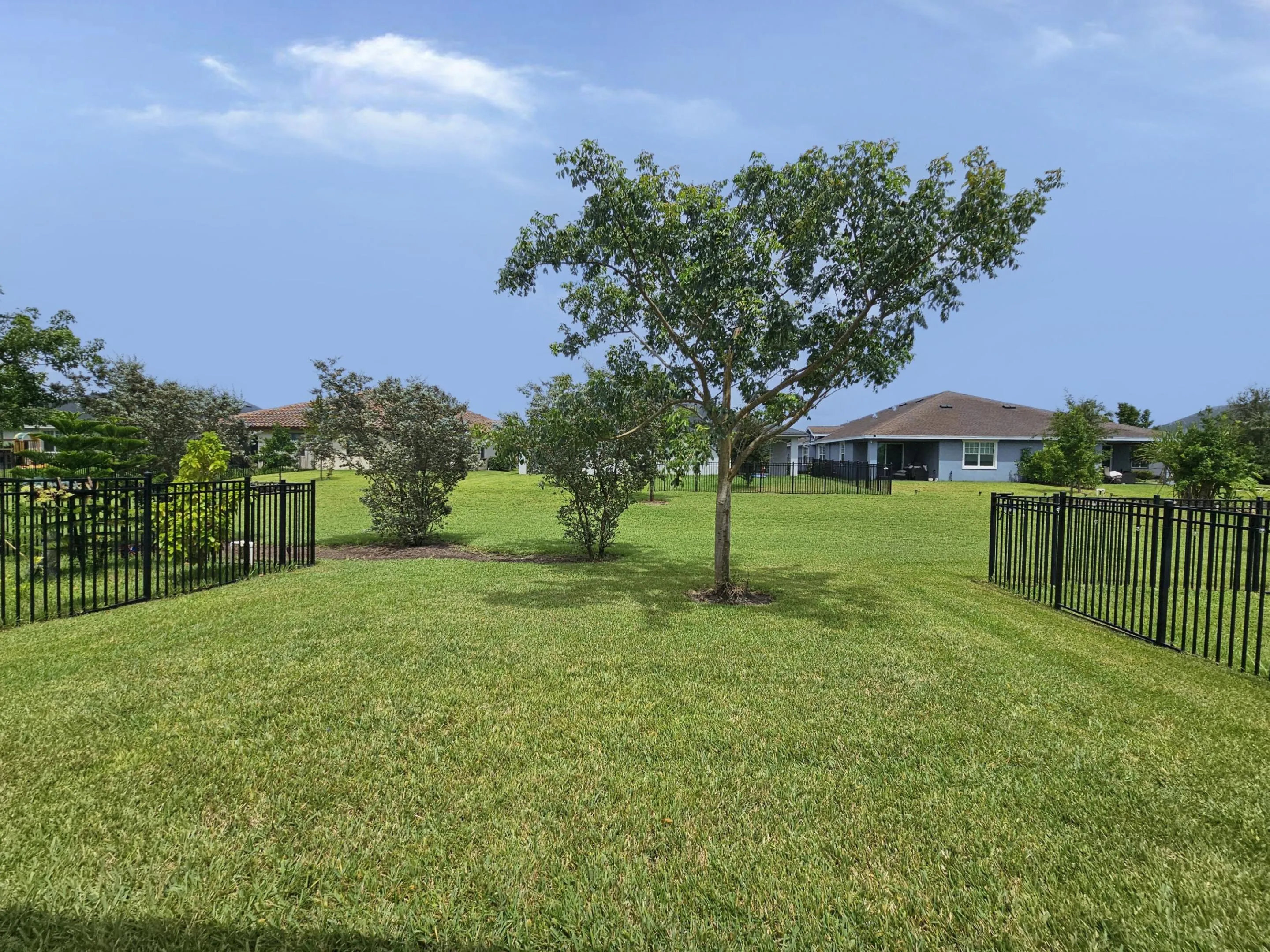 Yard