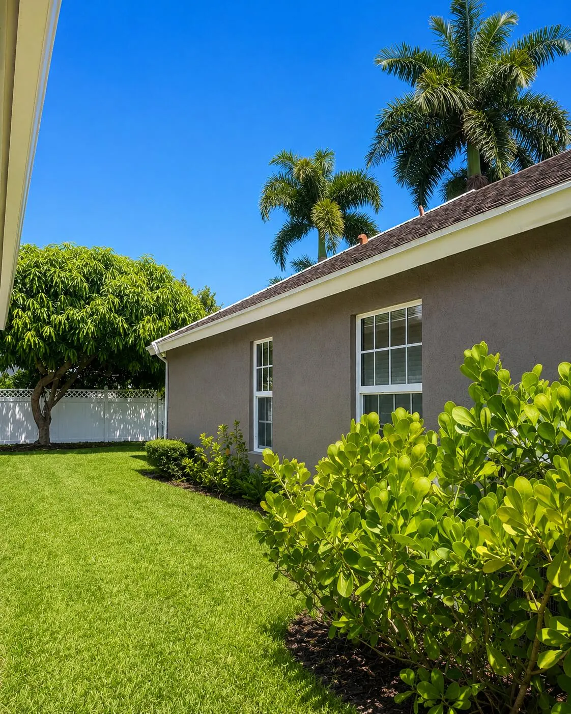 Side Yard