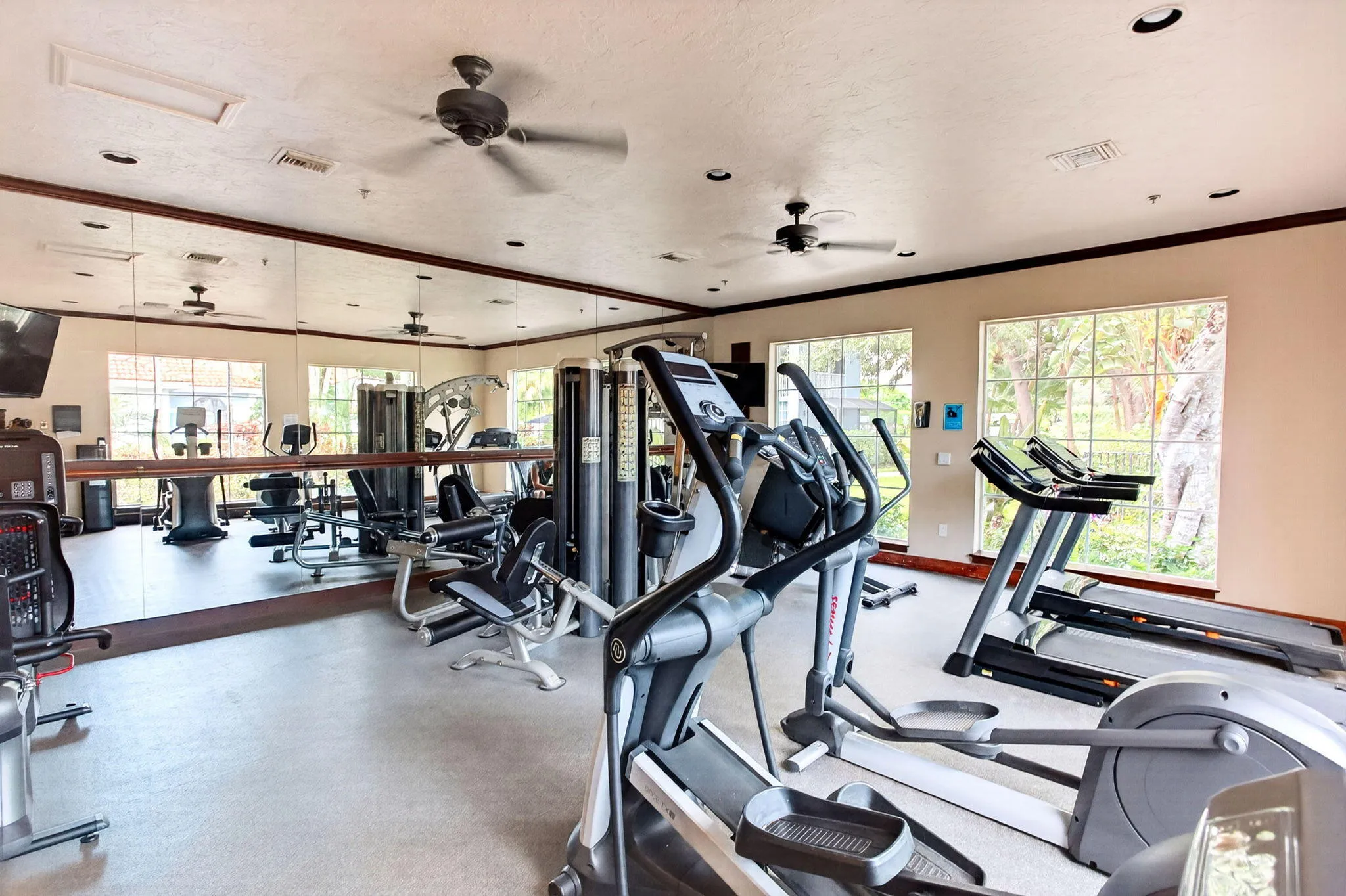 39-web-or-mls-Gym