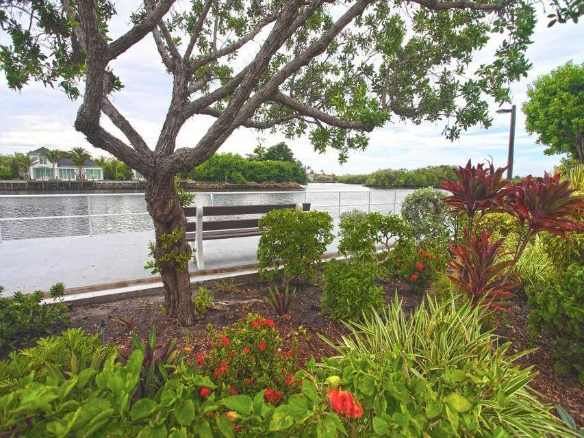 BENCHES ON INTRACOASTAL