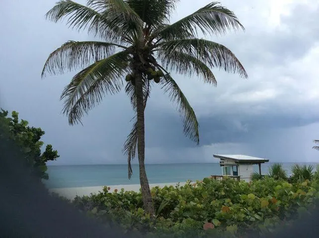 LIFEGUARD STATIONS AT PARK