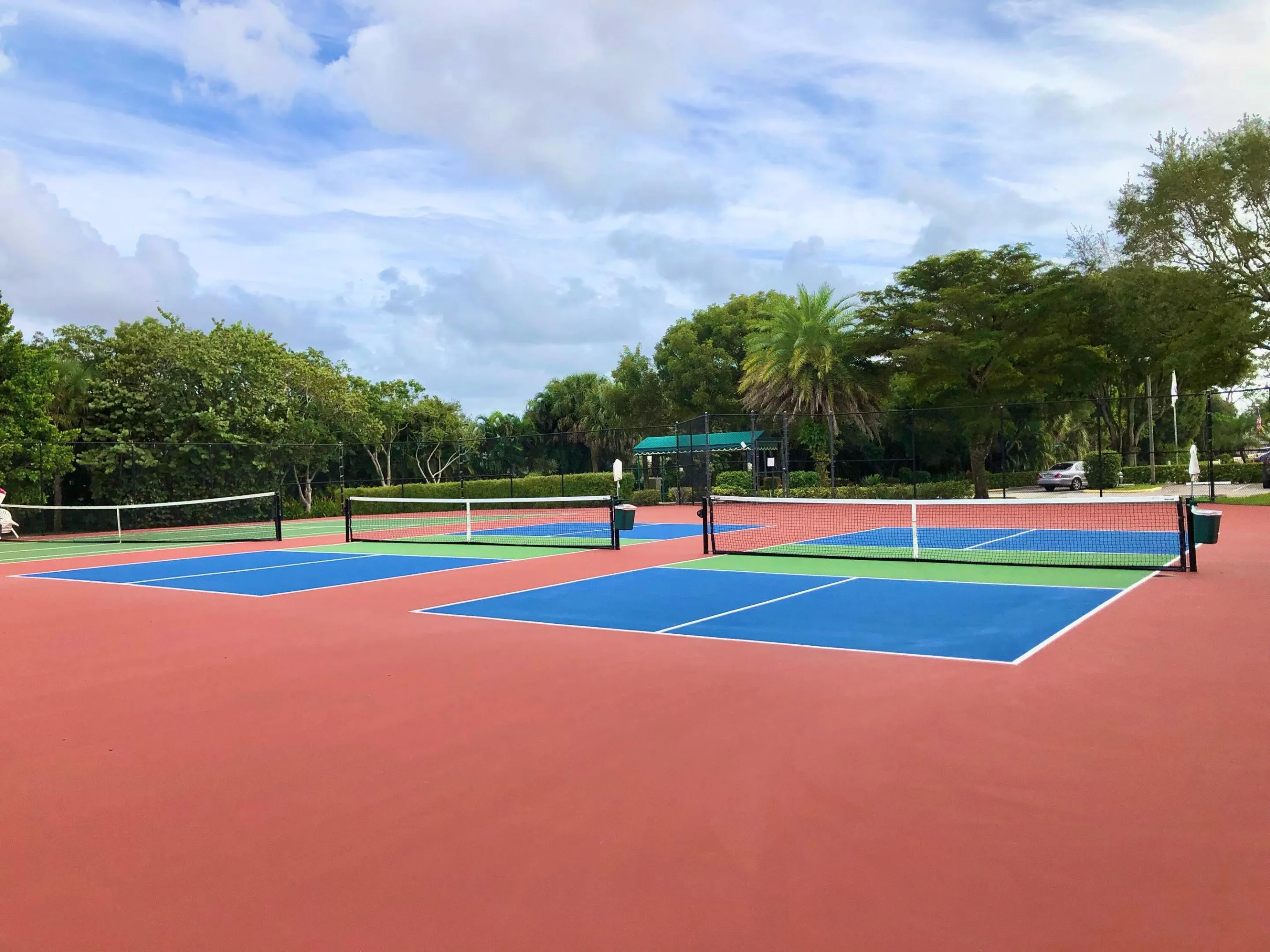 Community Pickleball Cts