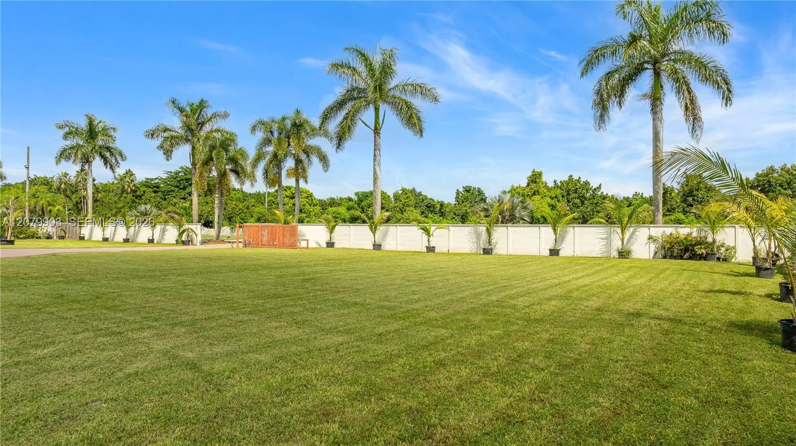 Property photo 43