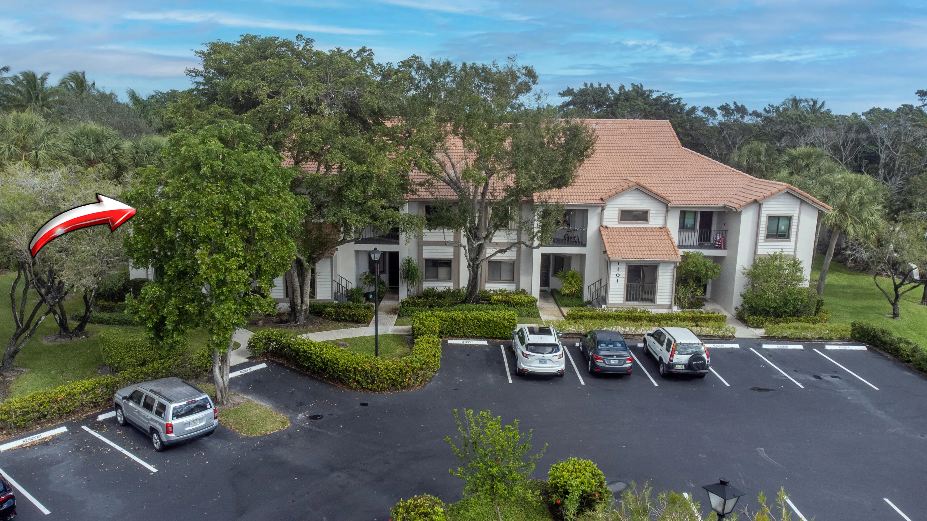 ipixx-60 copy