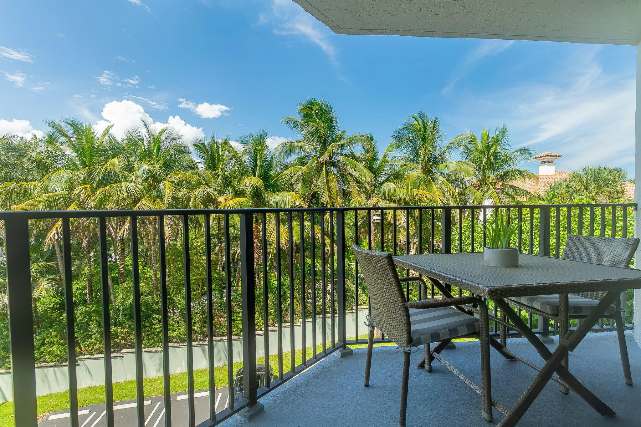 PATIO VIEW