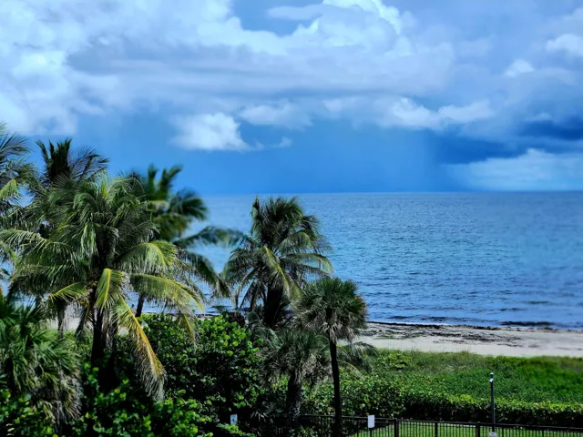 VIEW FROM BEDROOM