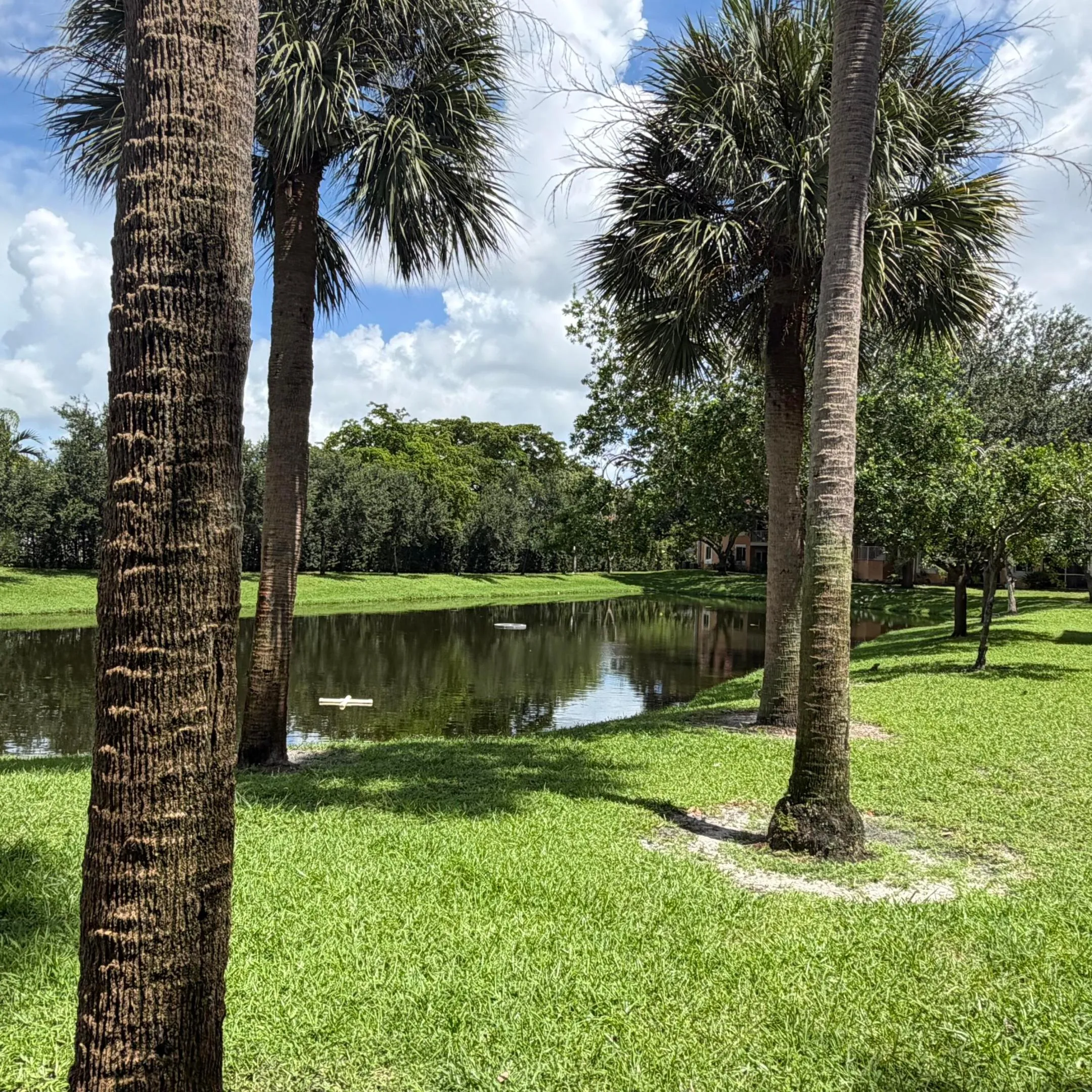 Pond