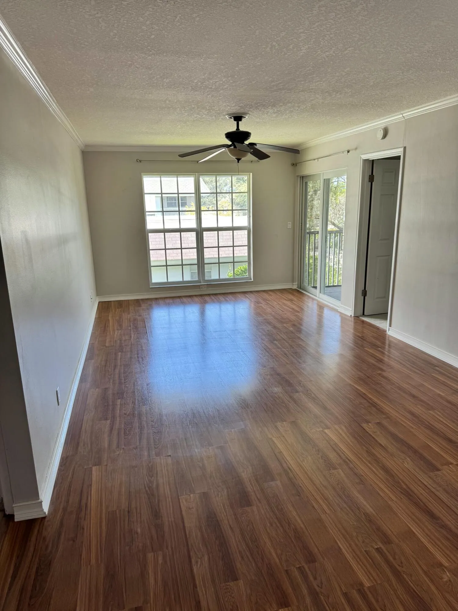 IMG_4318​​‌​​​​‌​​‌‌​‌‌​​​‌‌​‌​‌​‌​​​‌​​