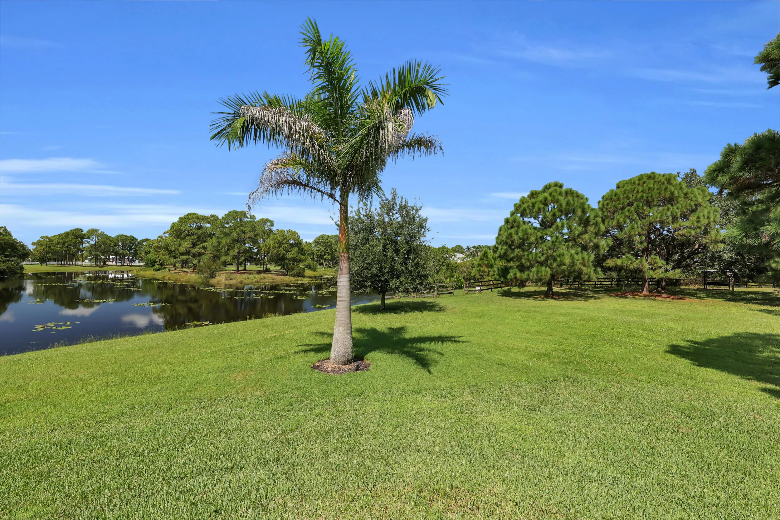 Property photo 66