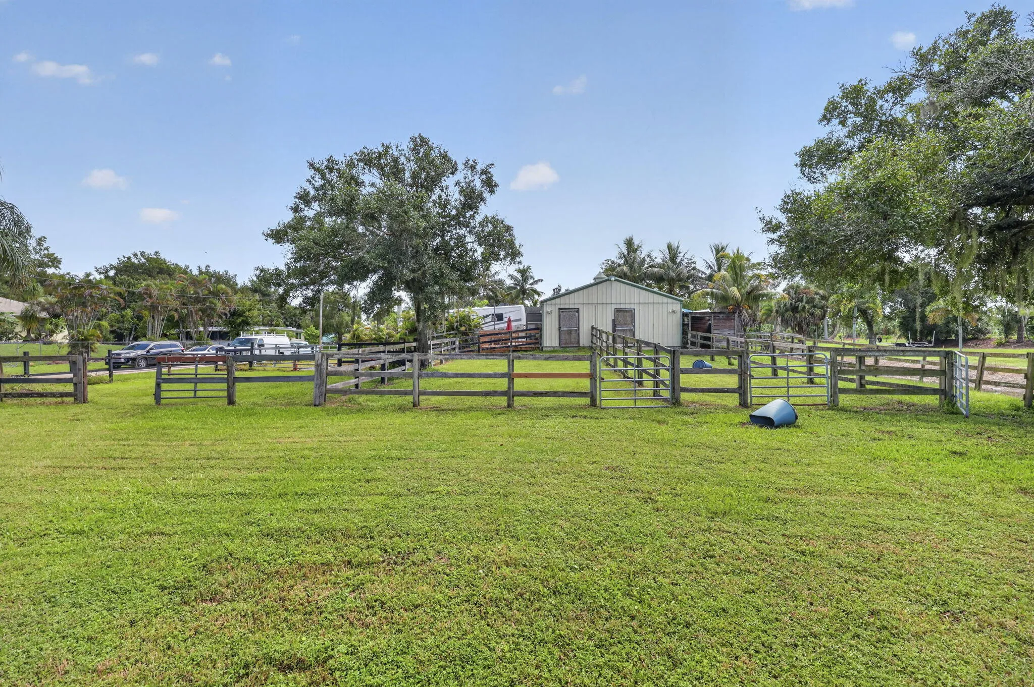 82-web-or-mls-BS1A5072