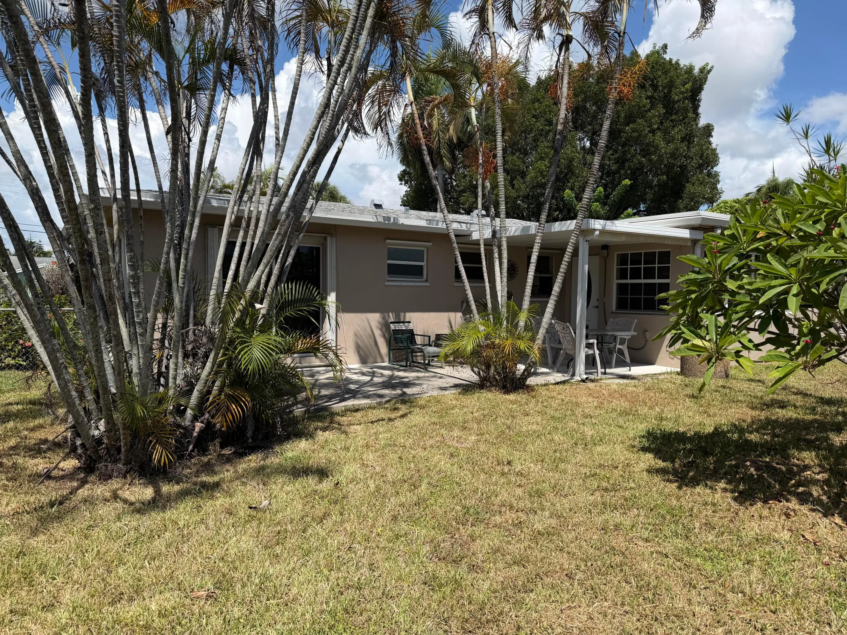 Rear exterior with a concrete patio, covered porch area, and mature palm trees