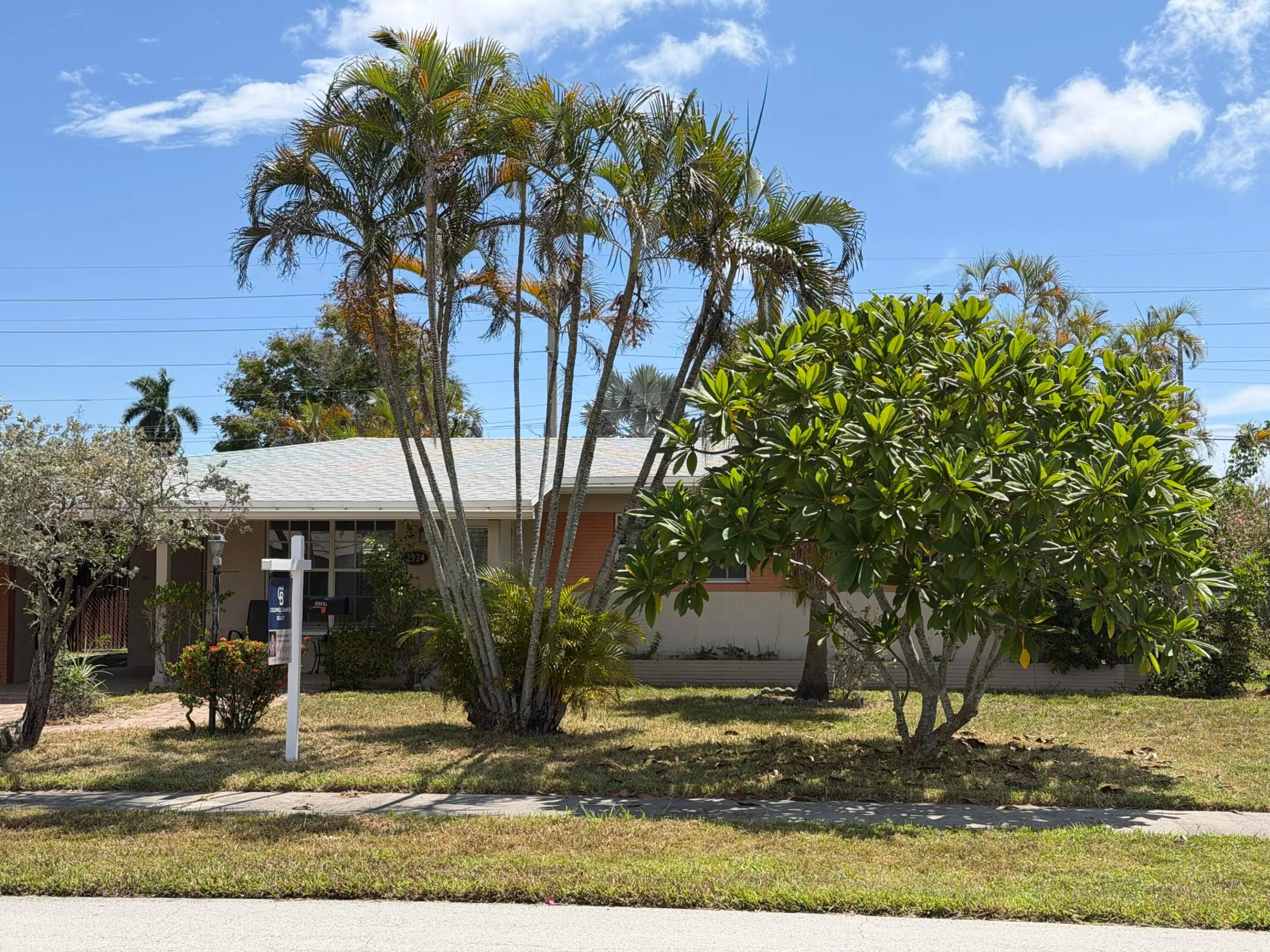 Single-story residence featuring a light-colored roof, mature palm trees, and established shrubs