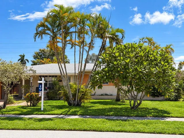 Single-story residence featuring a light-colored roof, mature palm trees, and established shrubs