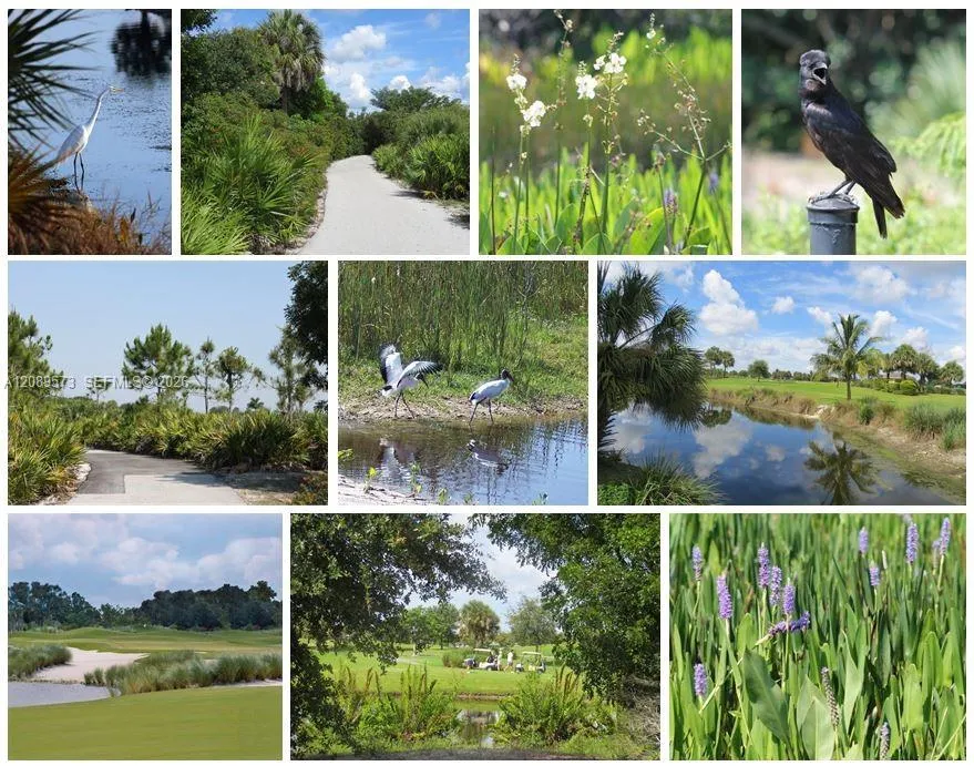 Plantation Preserve nature trail next door to Hawthorne Village